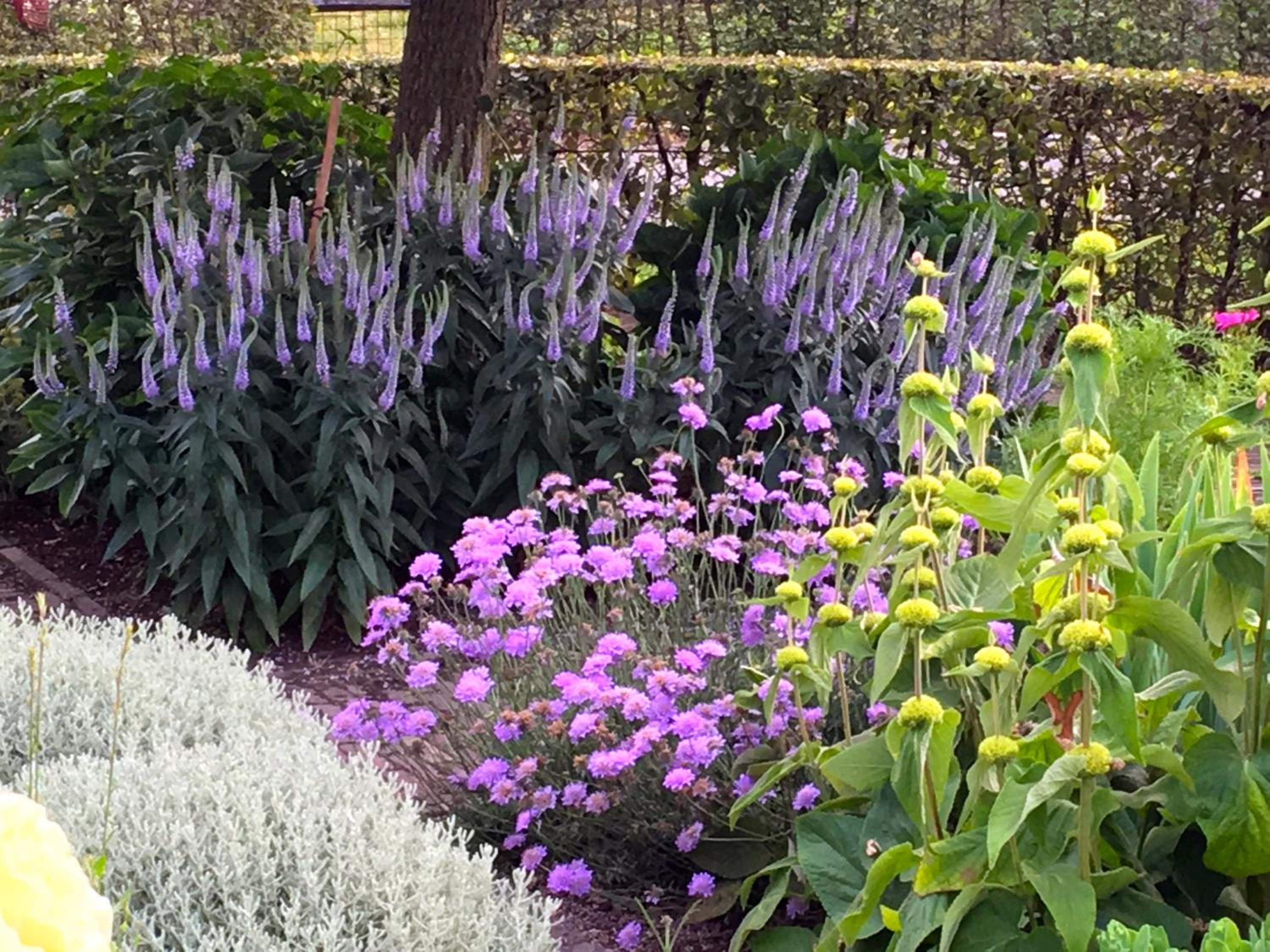 LOGIES Tuin der Zinnen