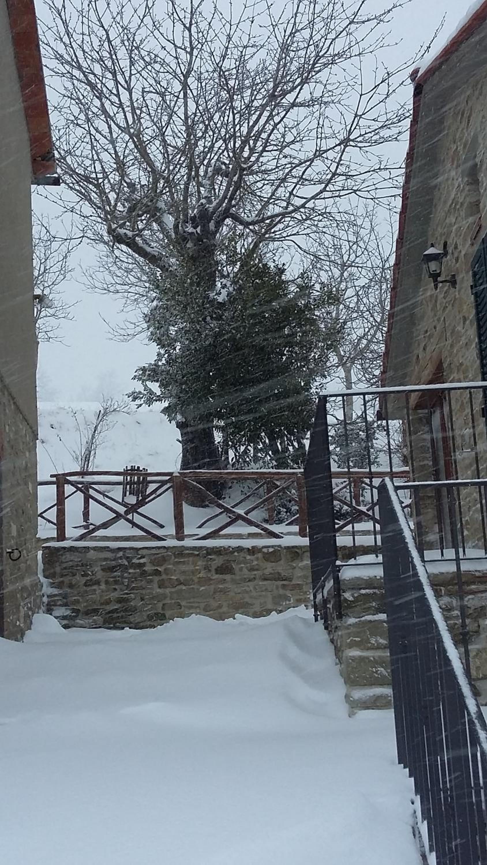 Agriturismo al Monte
