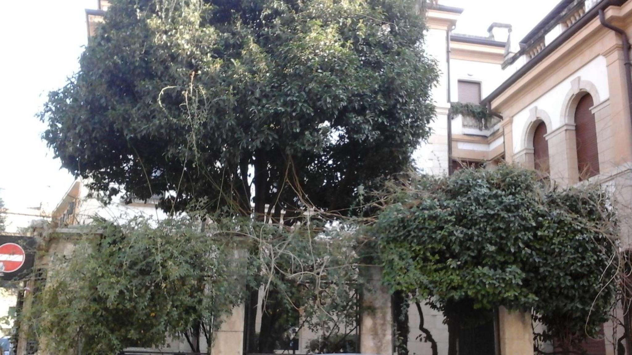 Photo 27