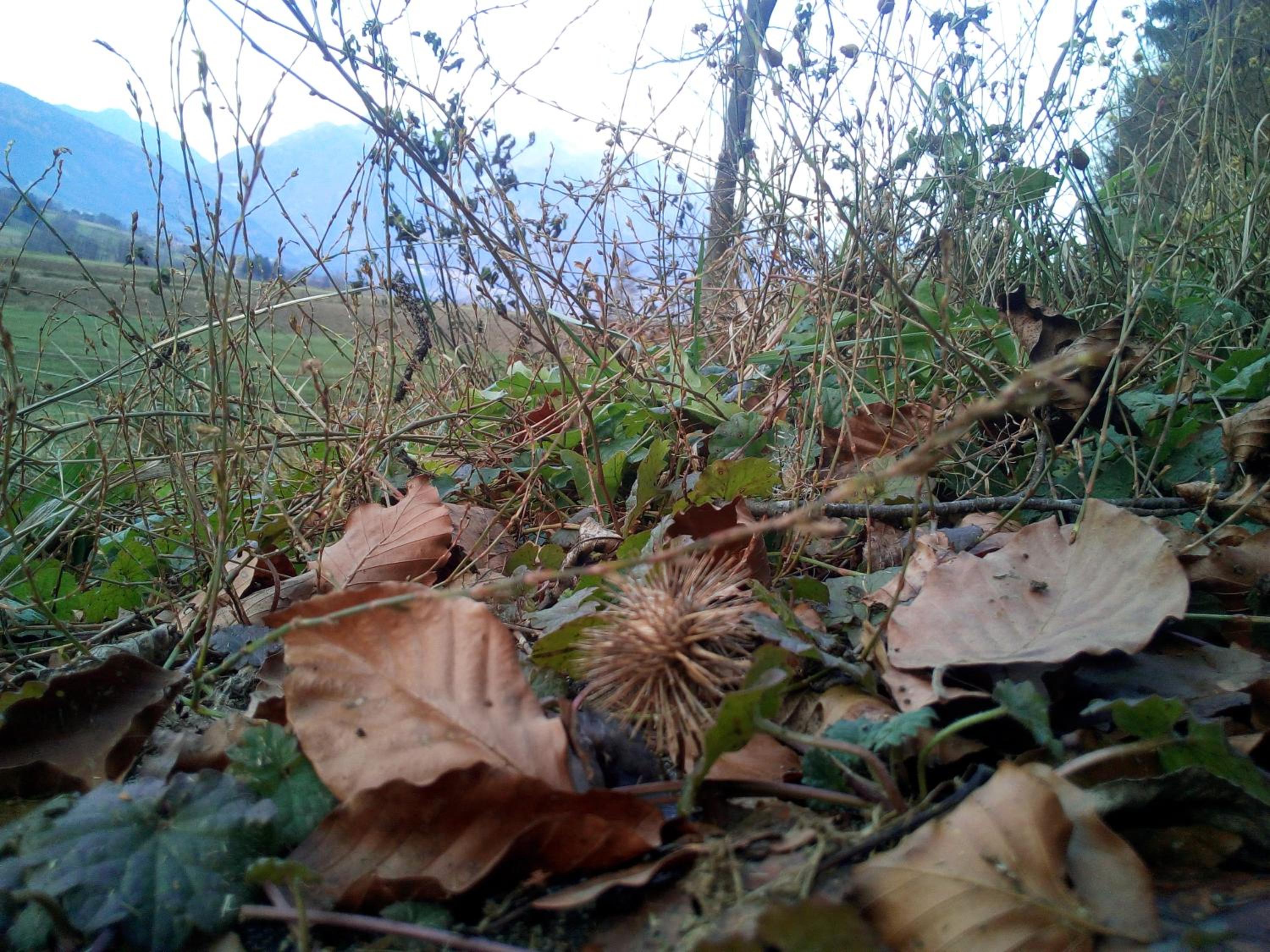 Photo 46