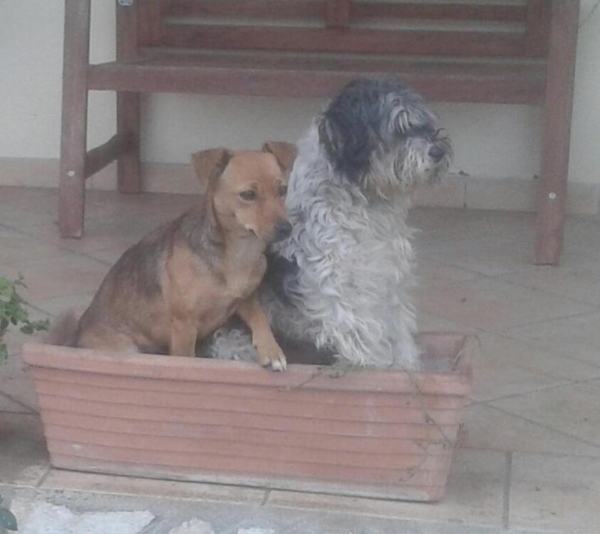 B&B RoLu