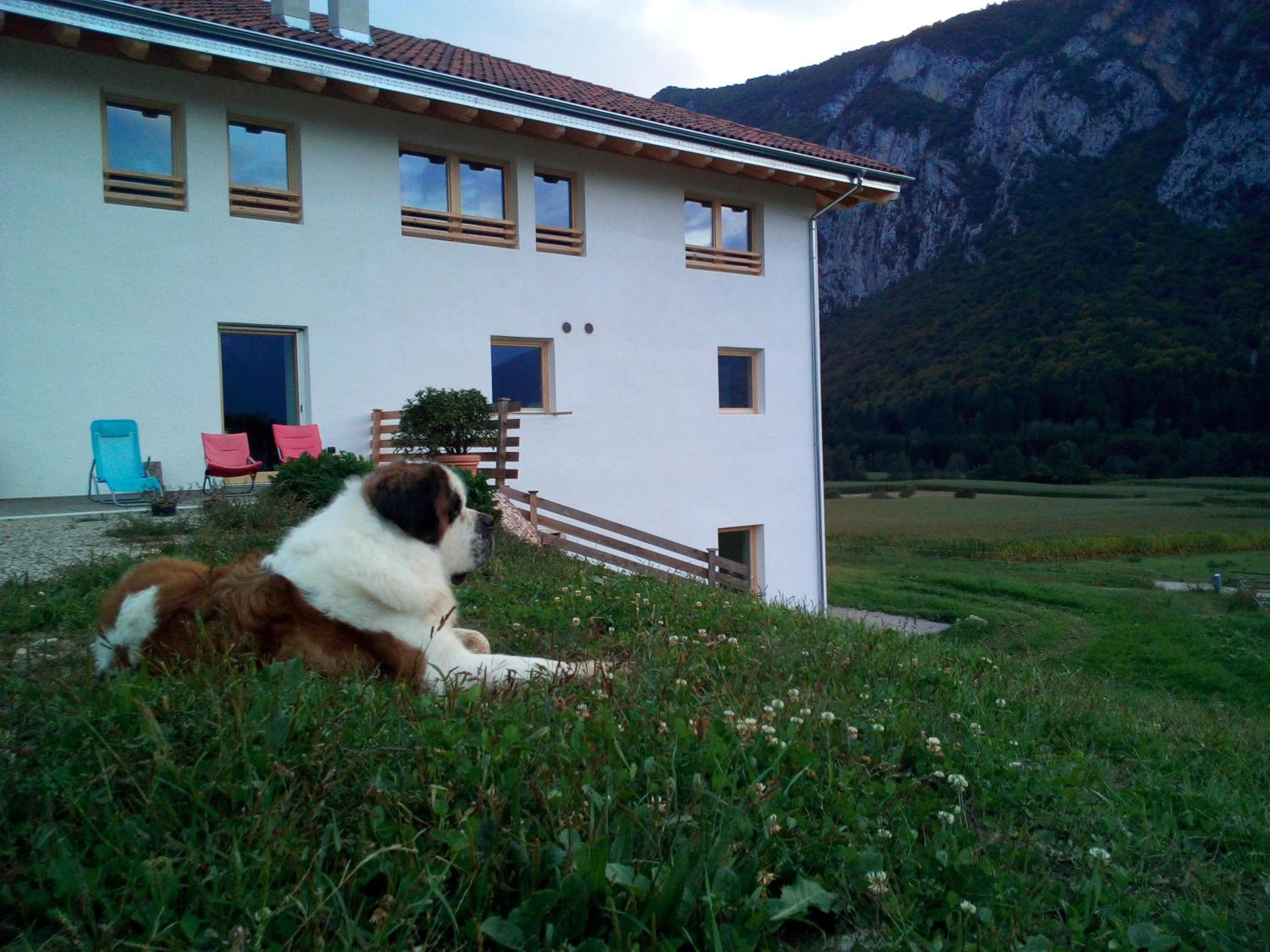 AGRITURISMO MASO PERTENER -adults friendly- view 3