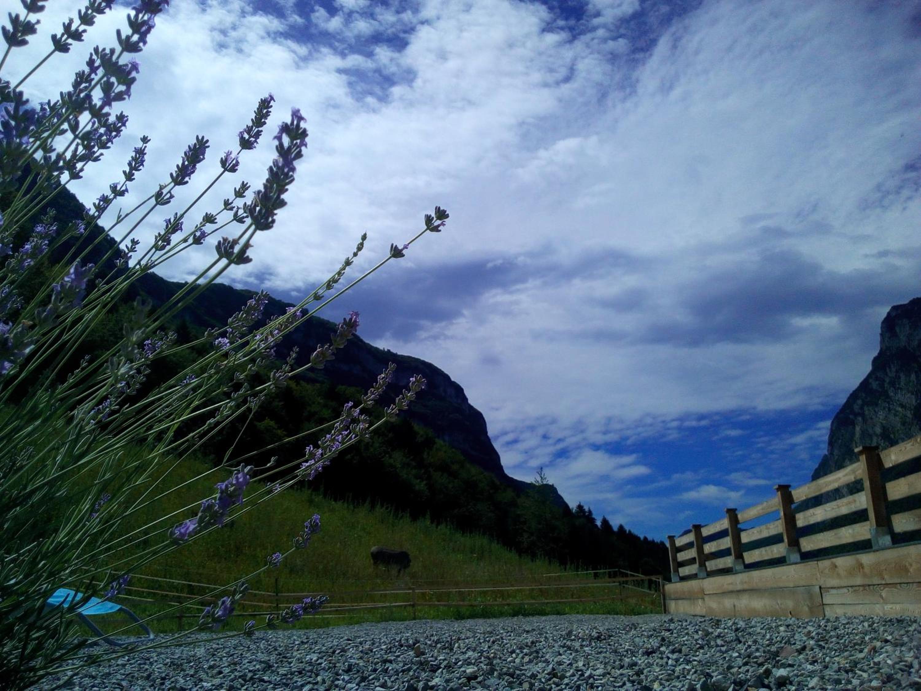 Photo 45