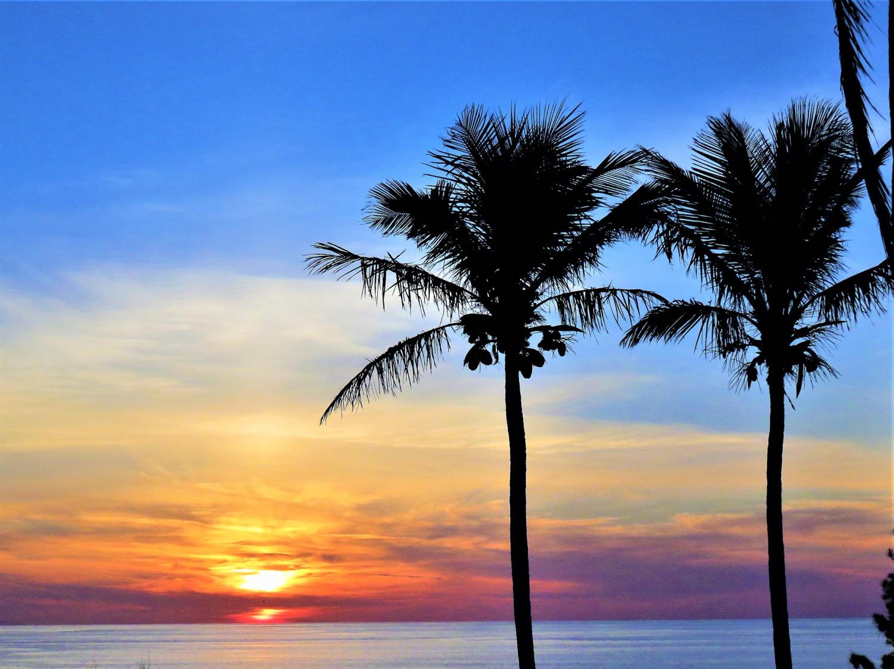 Willowbank Resort - Property Image 42