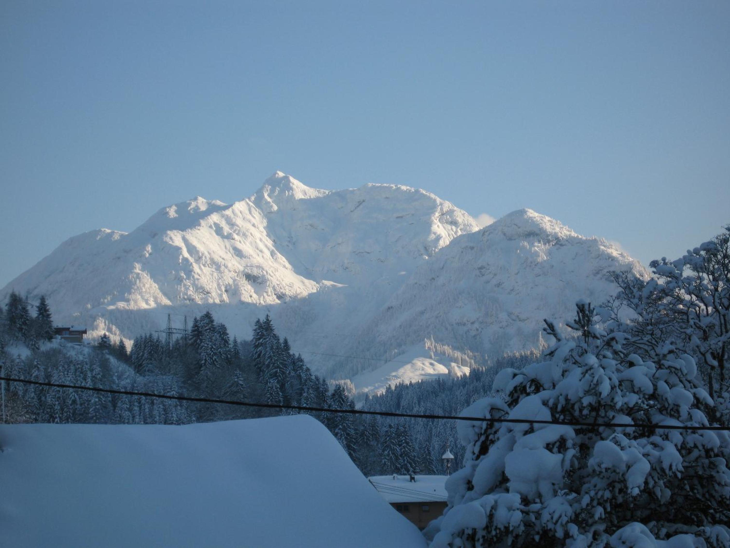 Ferienwohnung Johann Niedermoser view 5