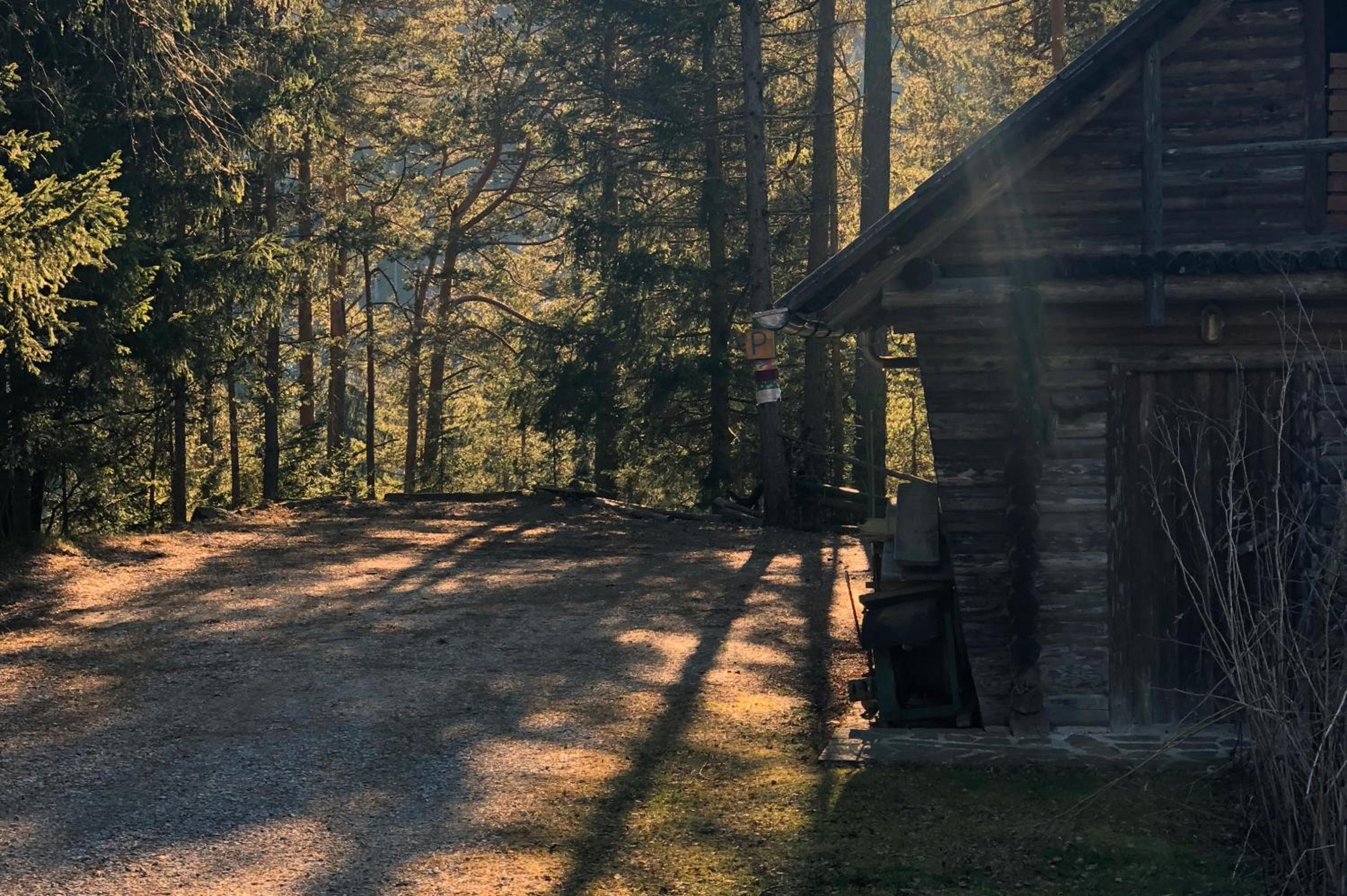 Ferienhaus im Wald