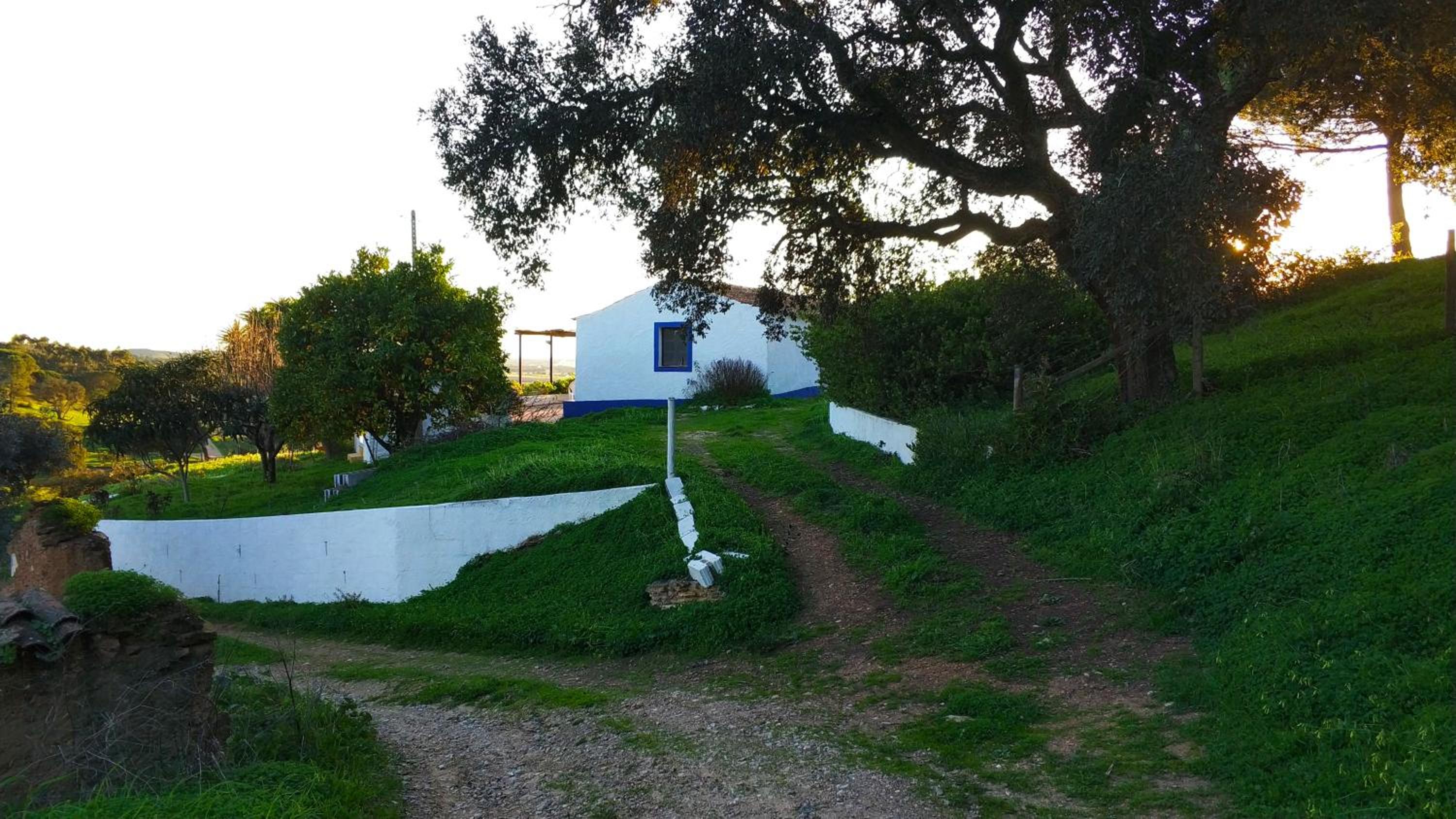Photo 41
