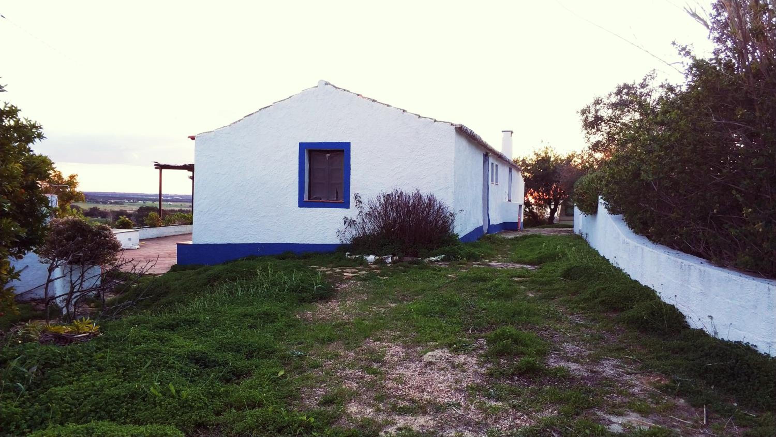 Photo 35
