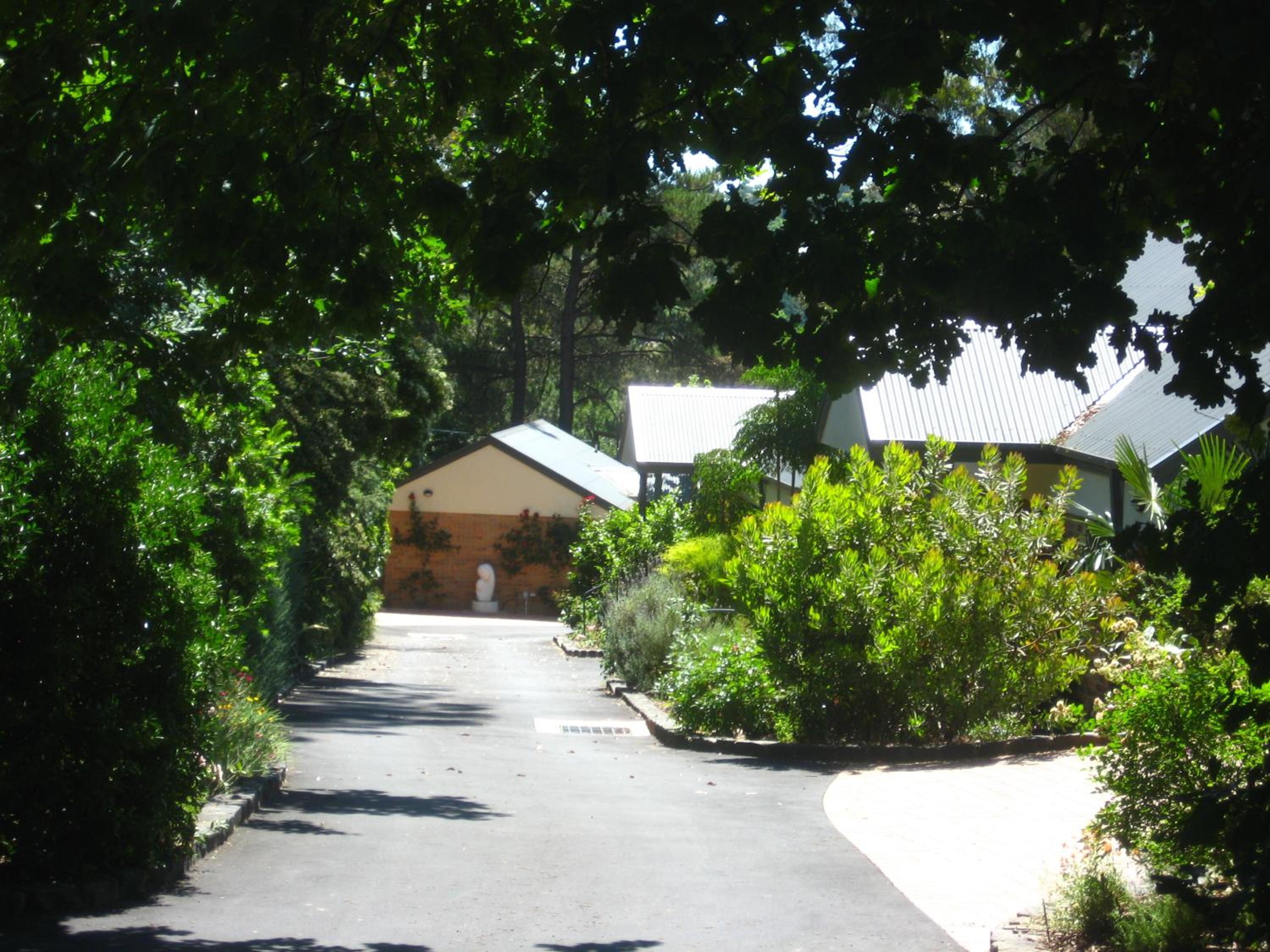 Photo 26