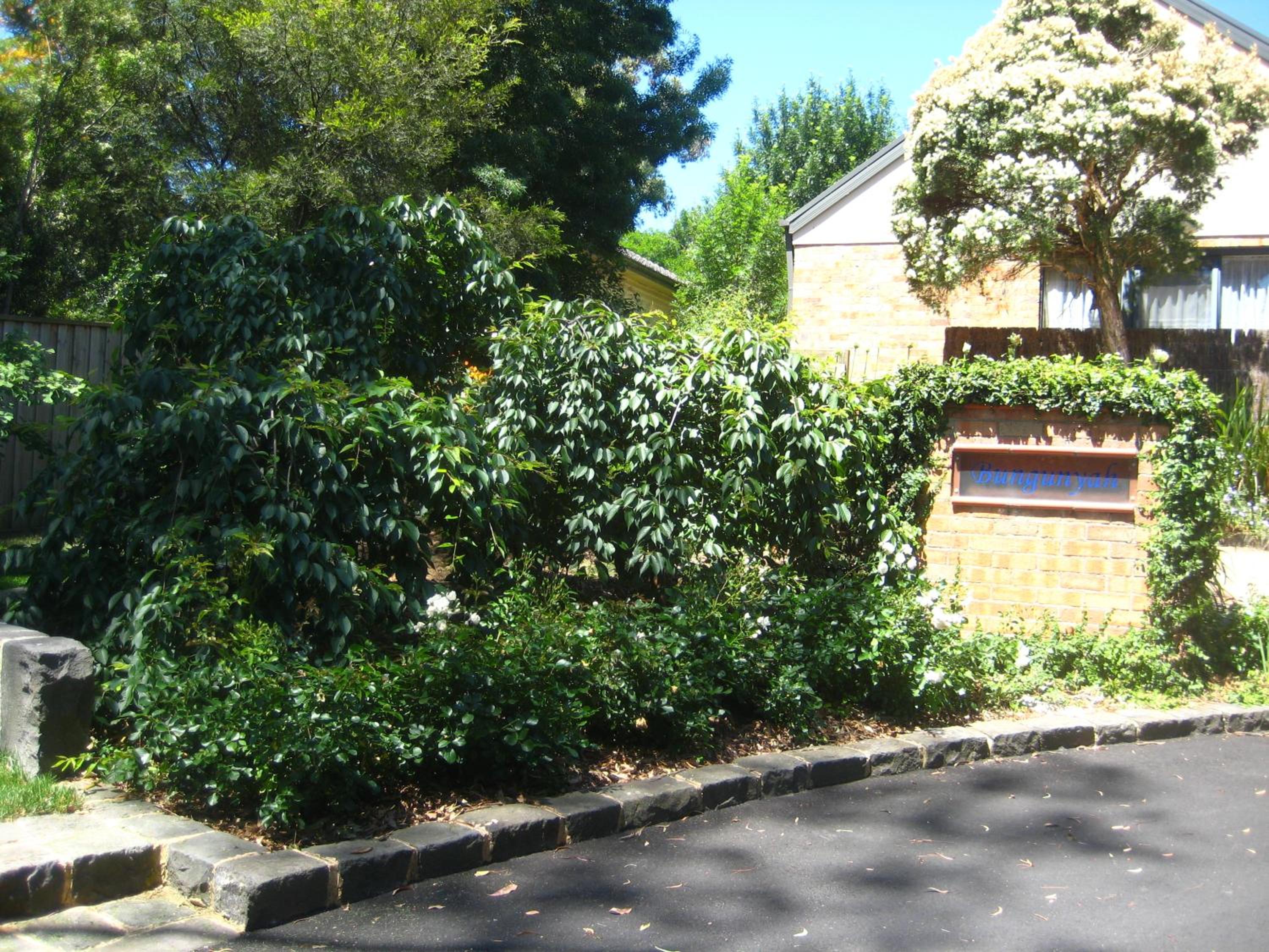 Photo 49