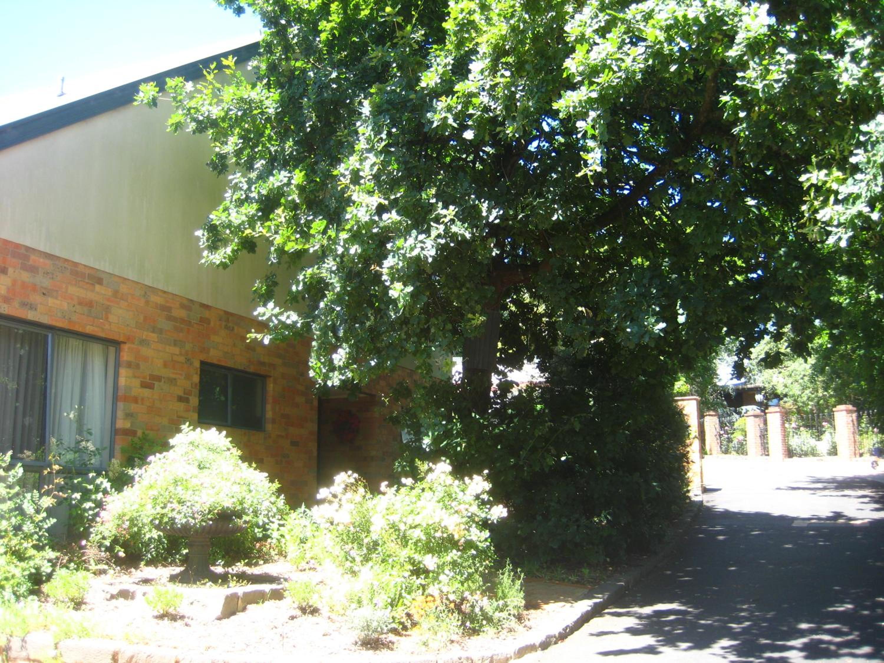 Photo 43