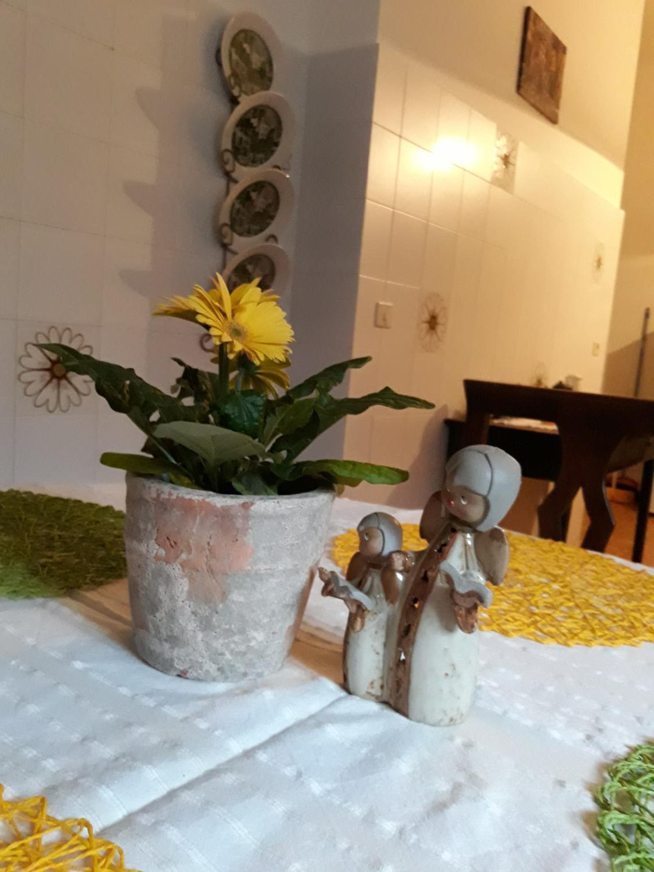 DiVino, fotografía 3