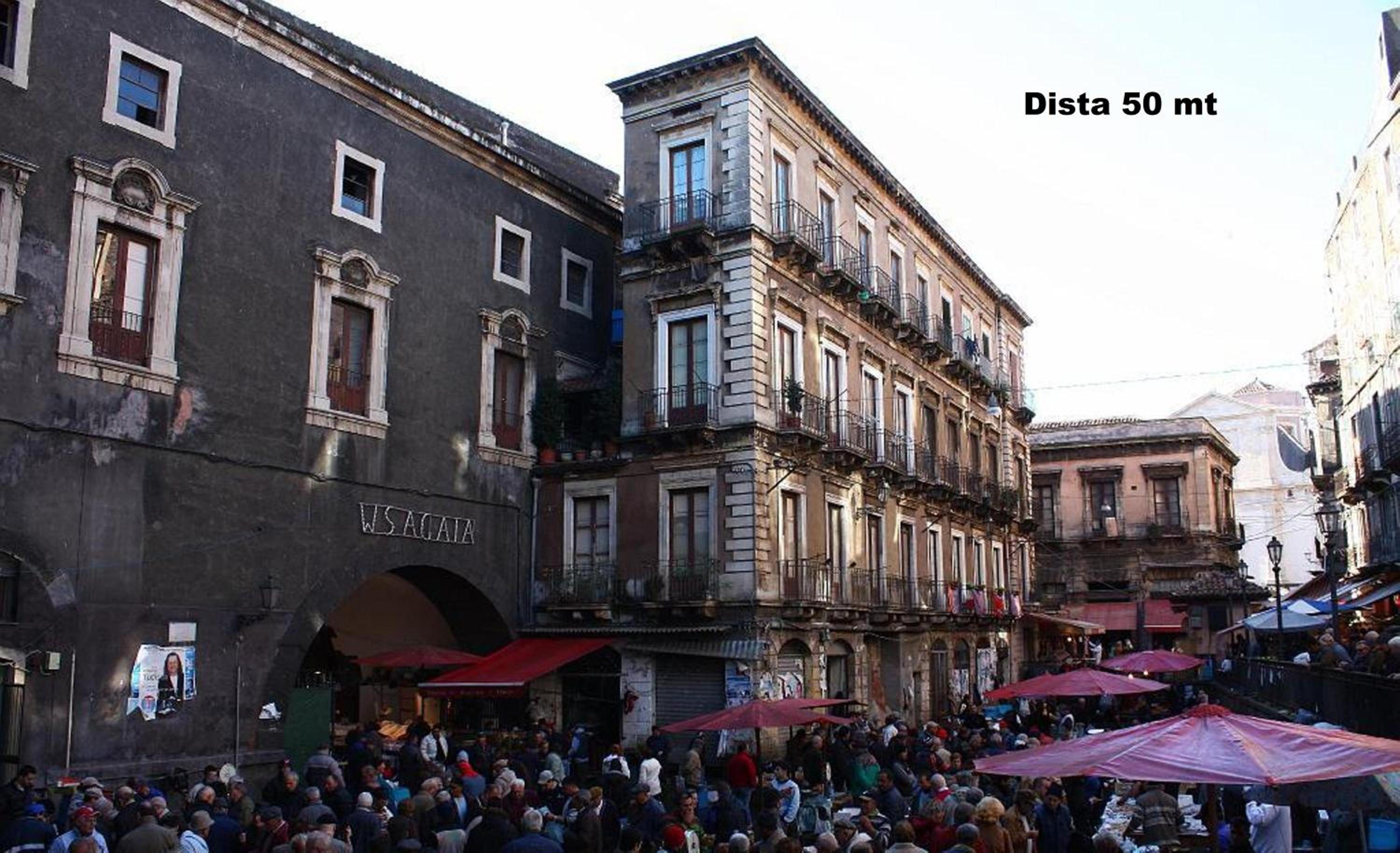 Attico MEA