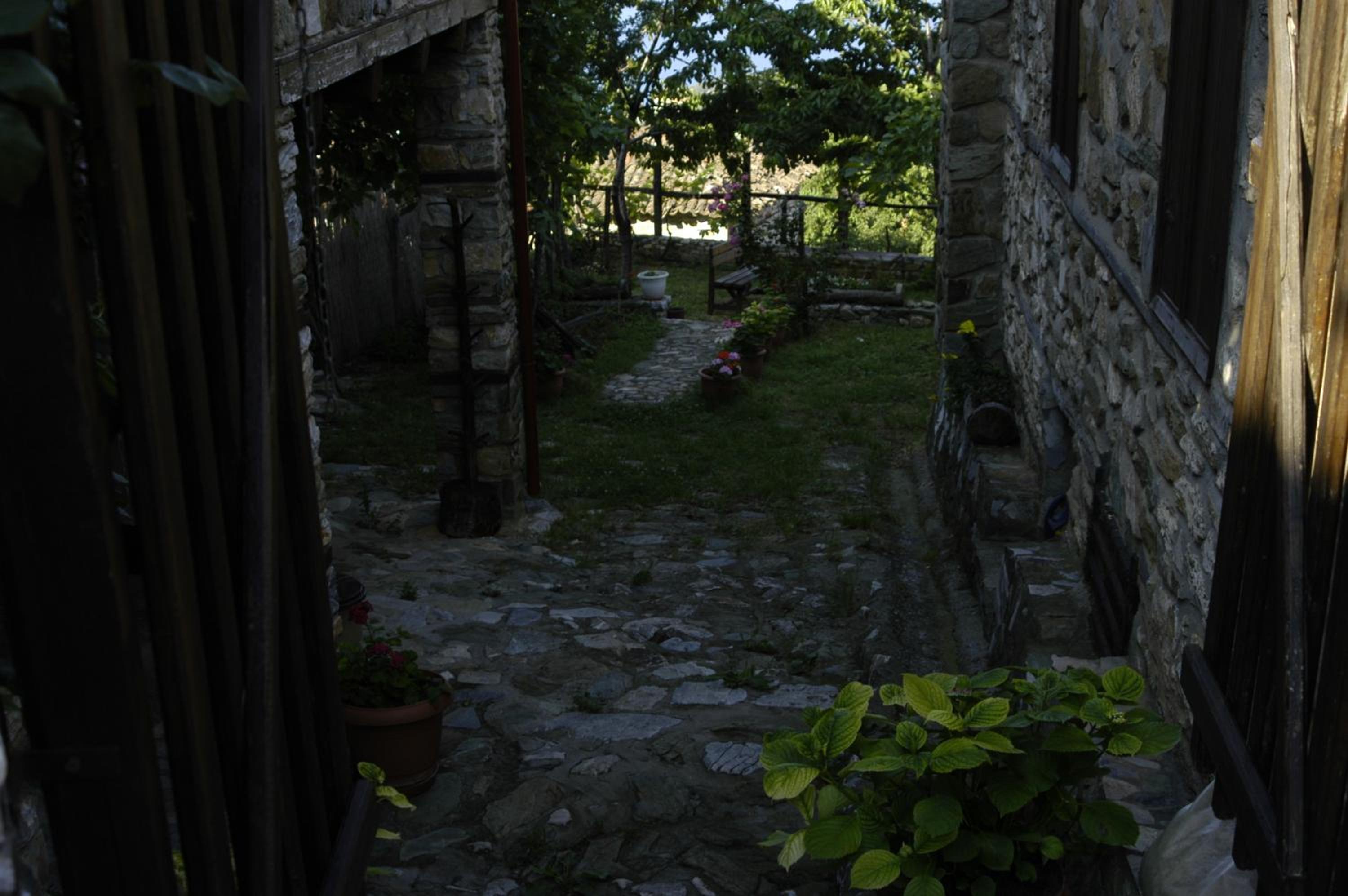 Photo 26