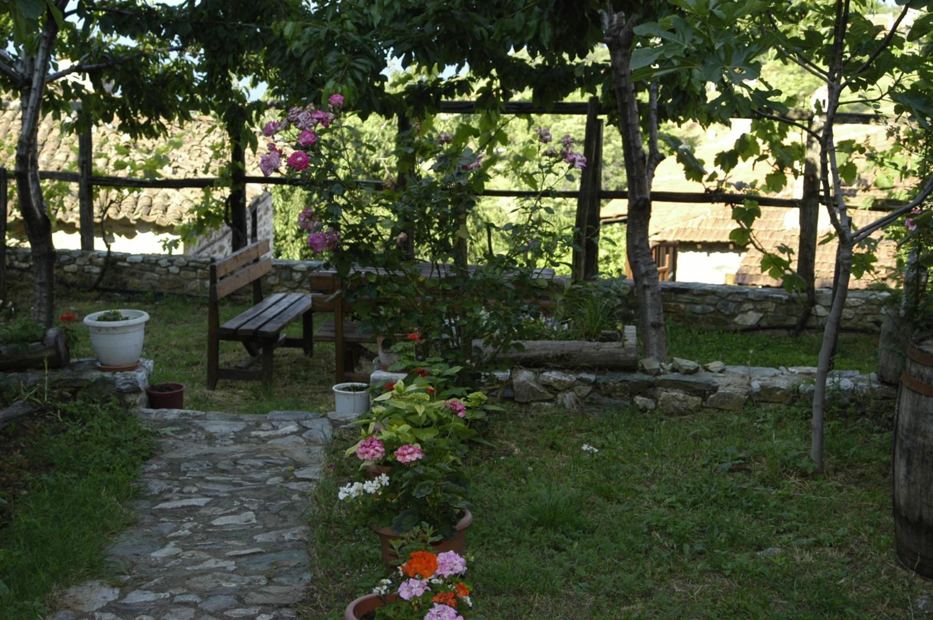 Photo 27