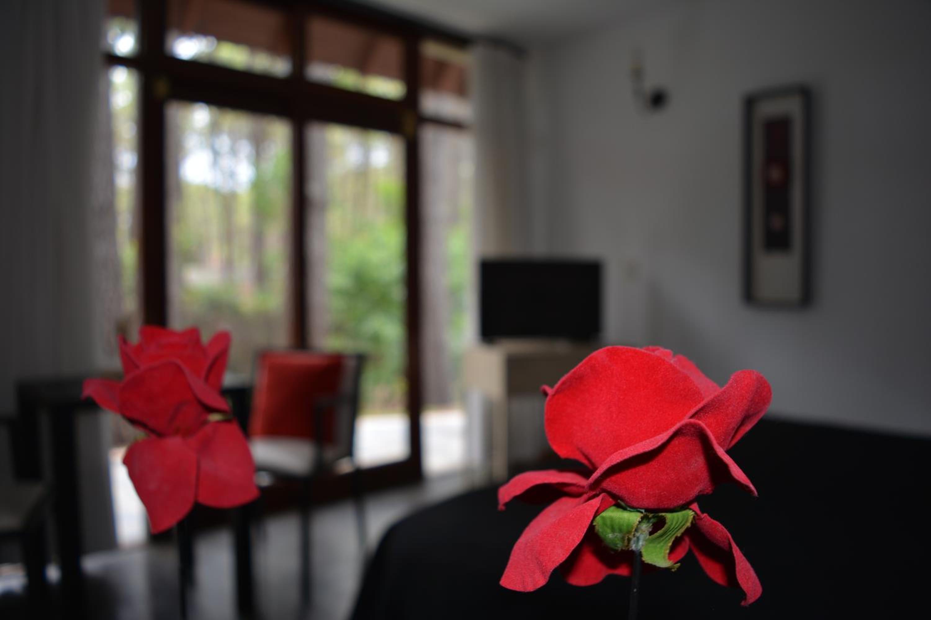 Posada La Casona