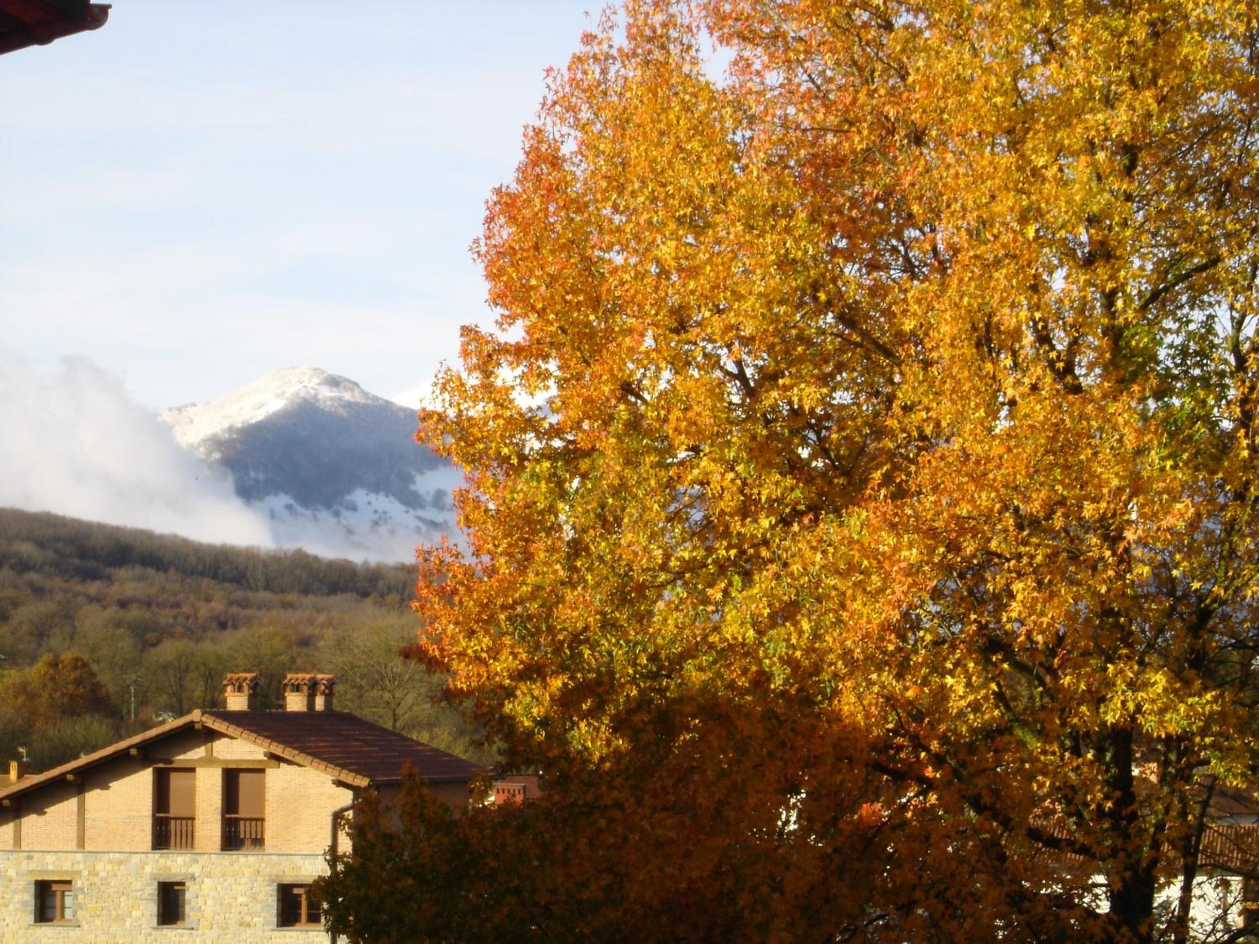 Photo 46