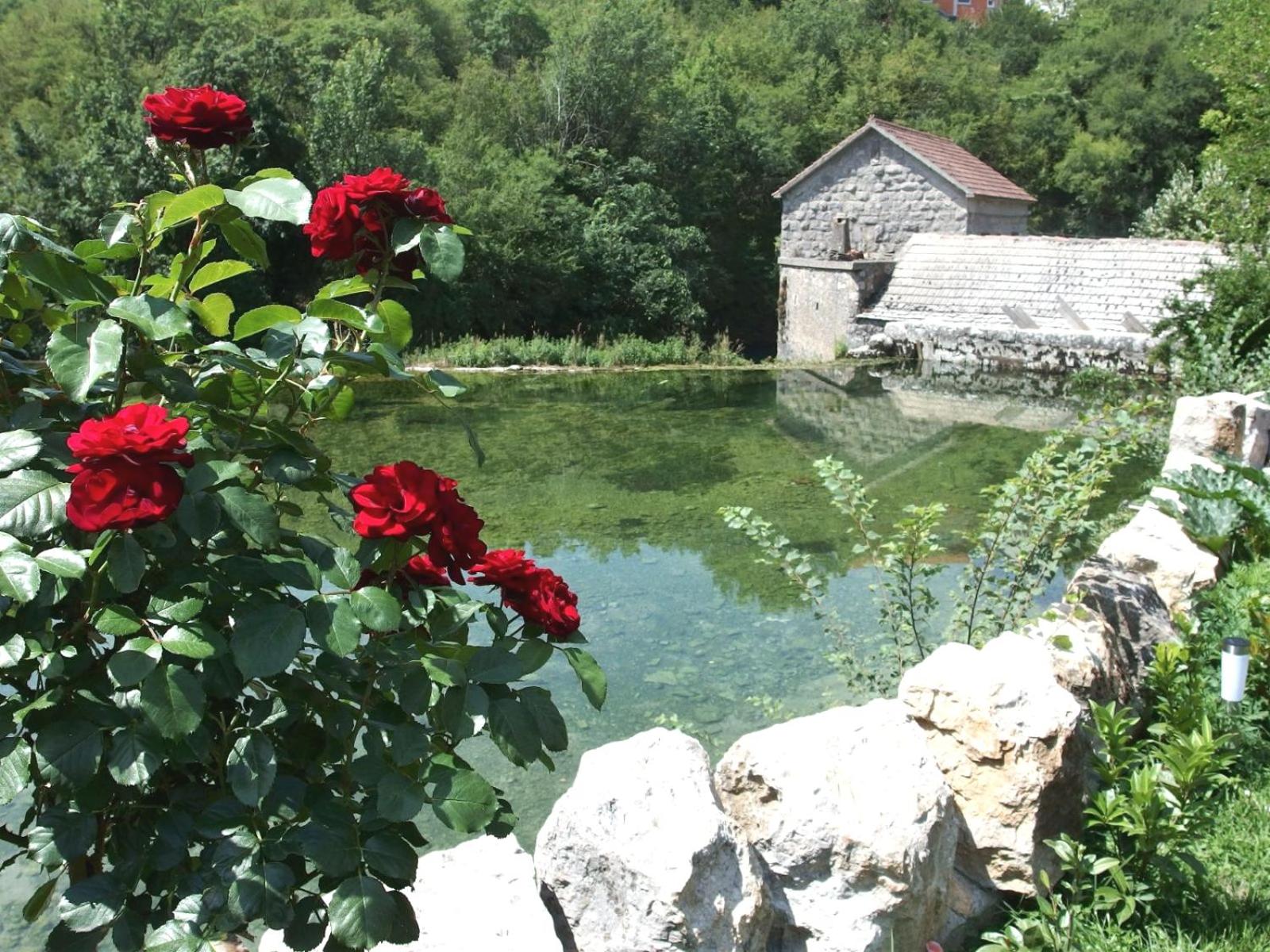 Photo 42
