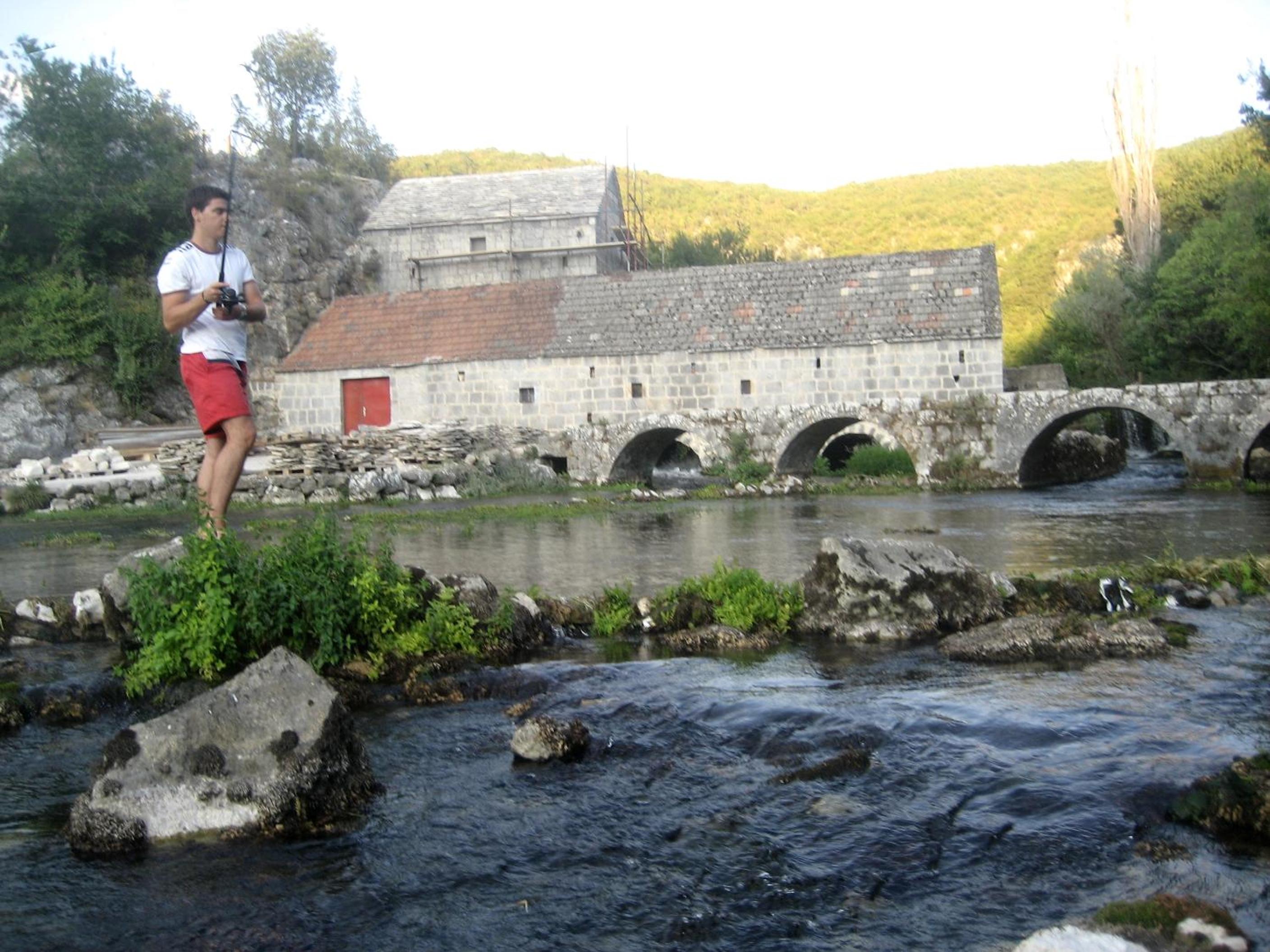 Photo 36