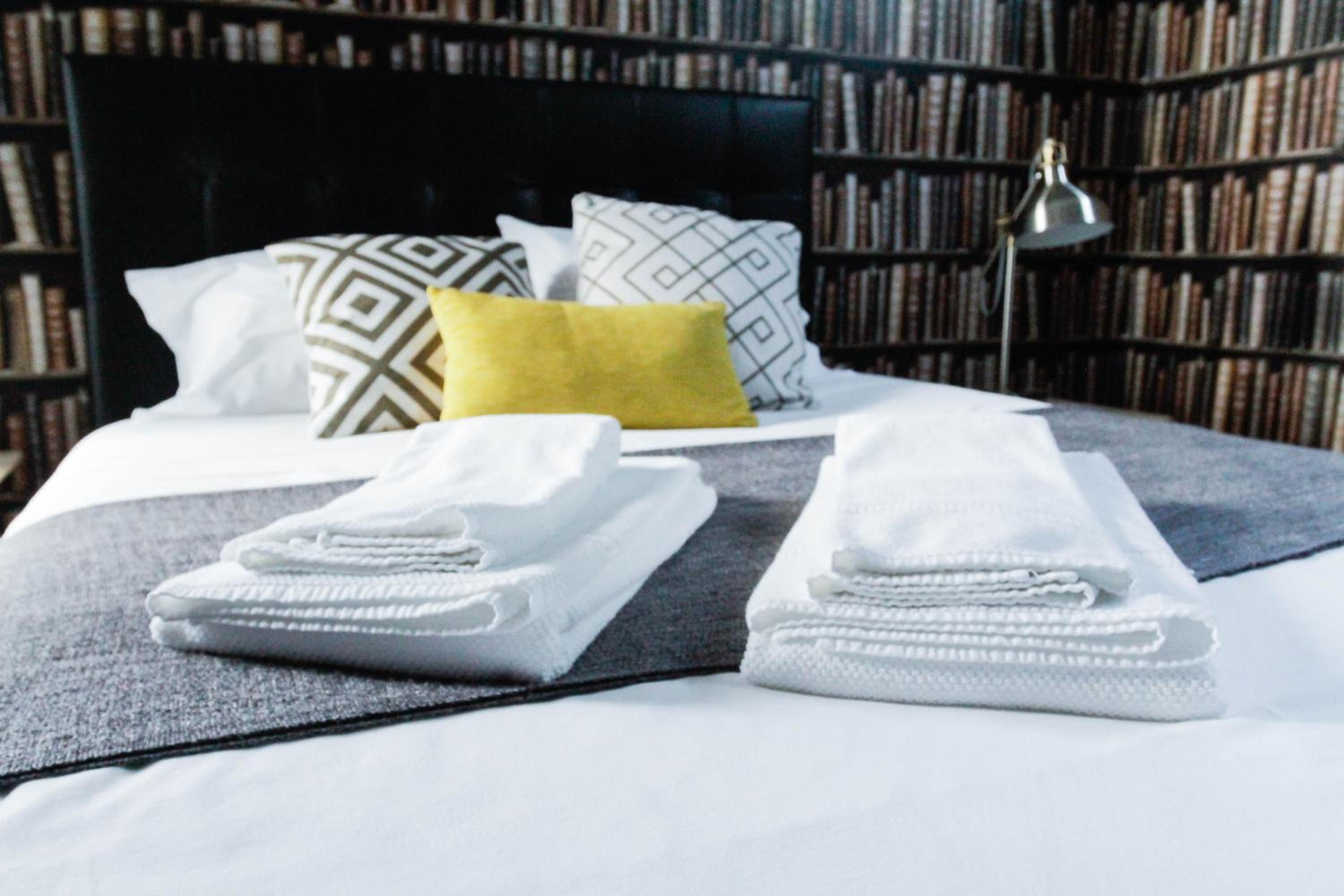 Procyon Boutique & Suites