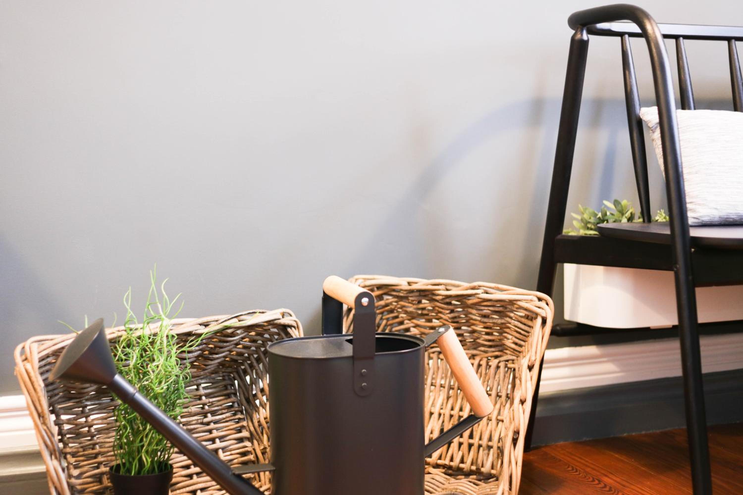 Procyon Boutique & Suites