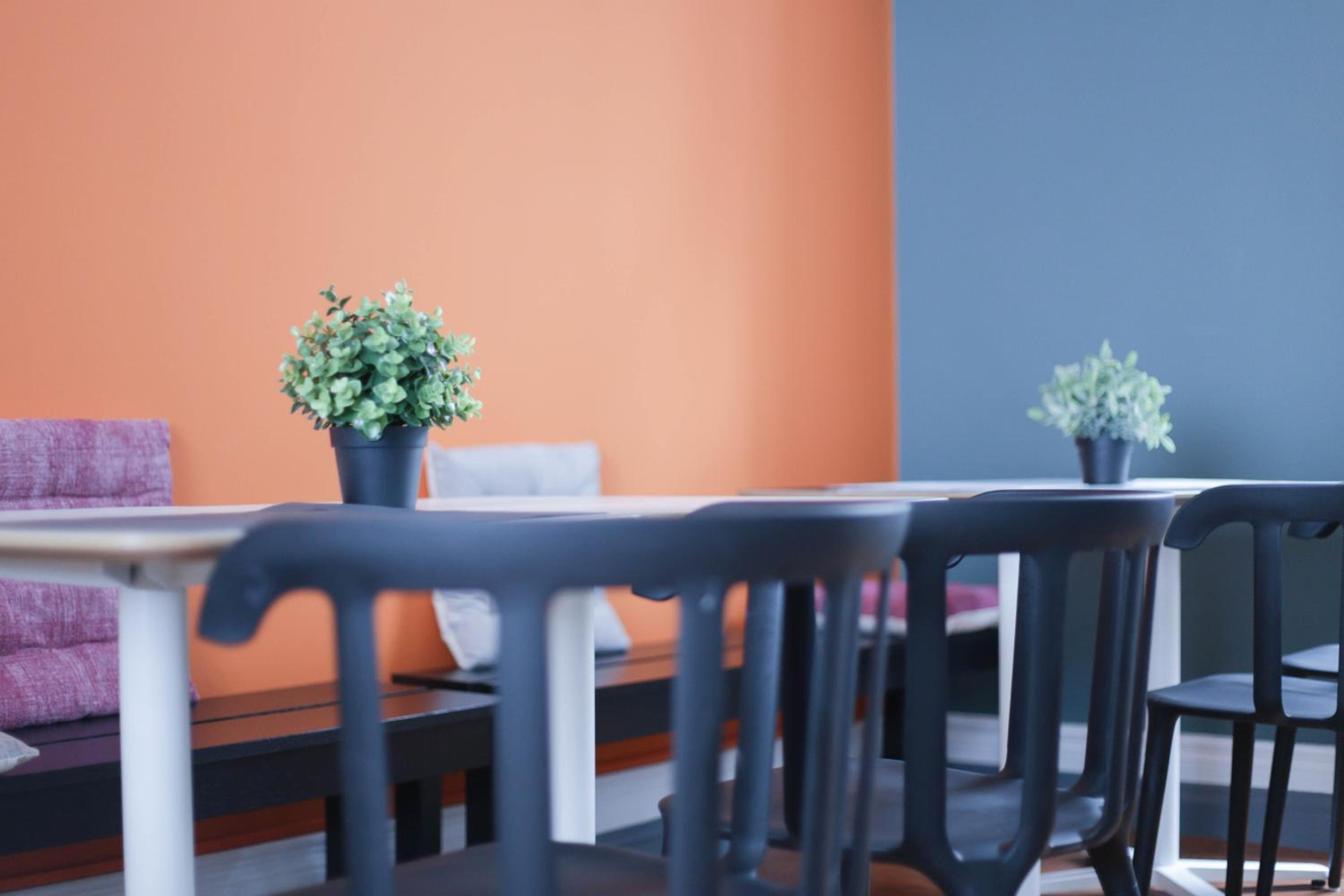 Procyon Boutique & Suites