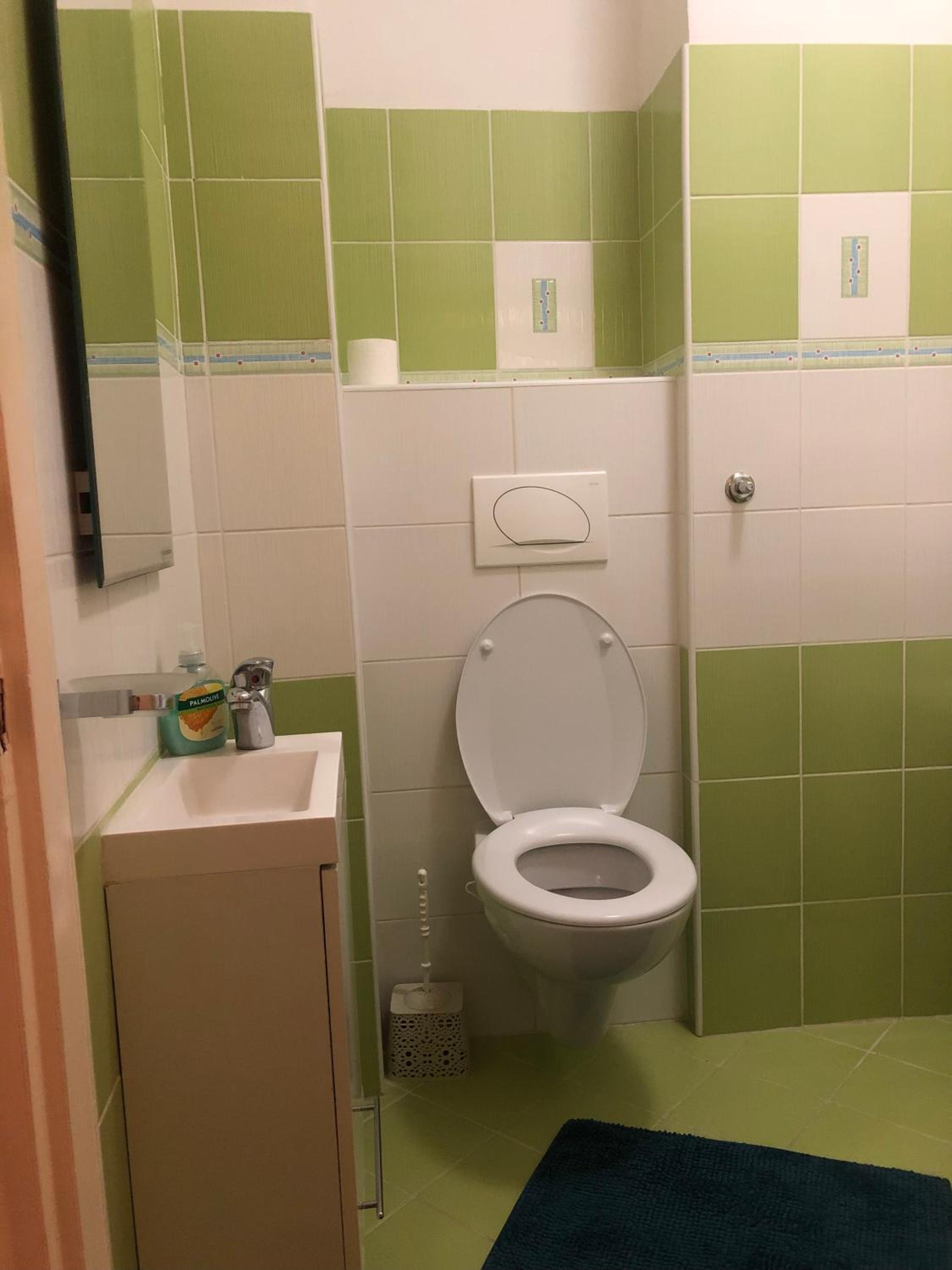 Apartman Mokusnice Zenica, photo 17
