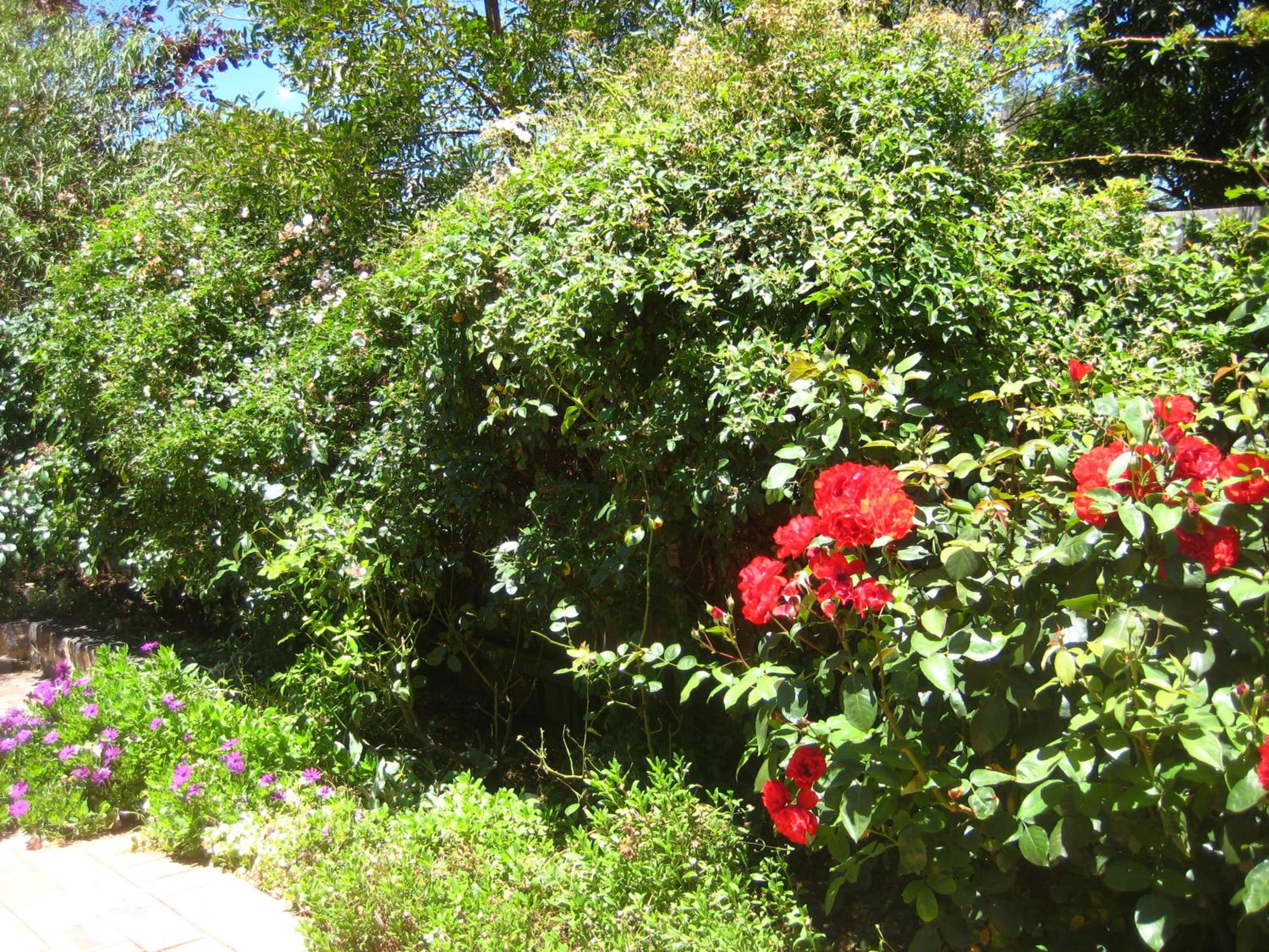 Photo 47