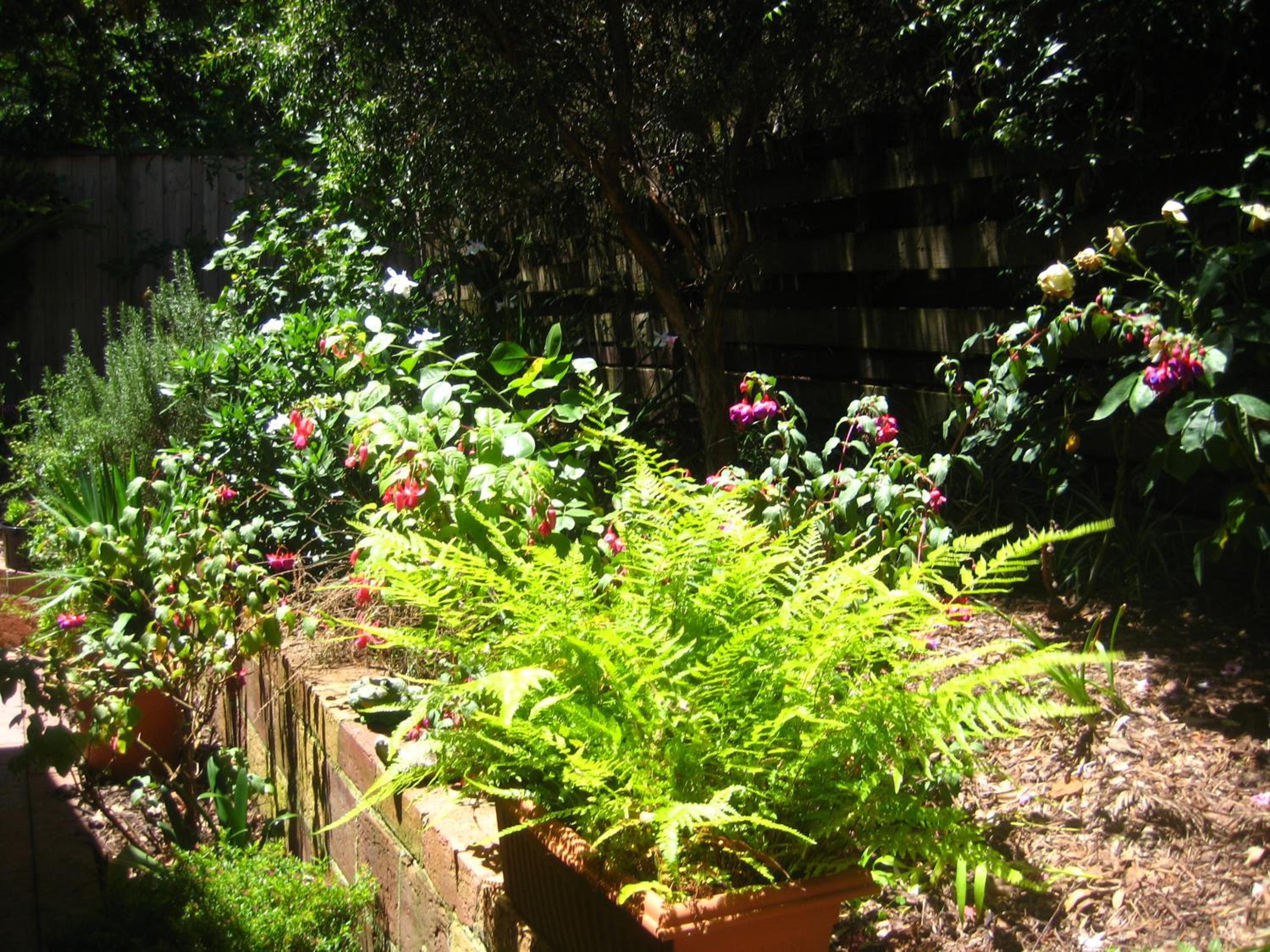 Photo 39