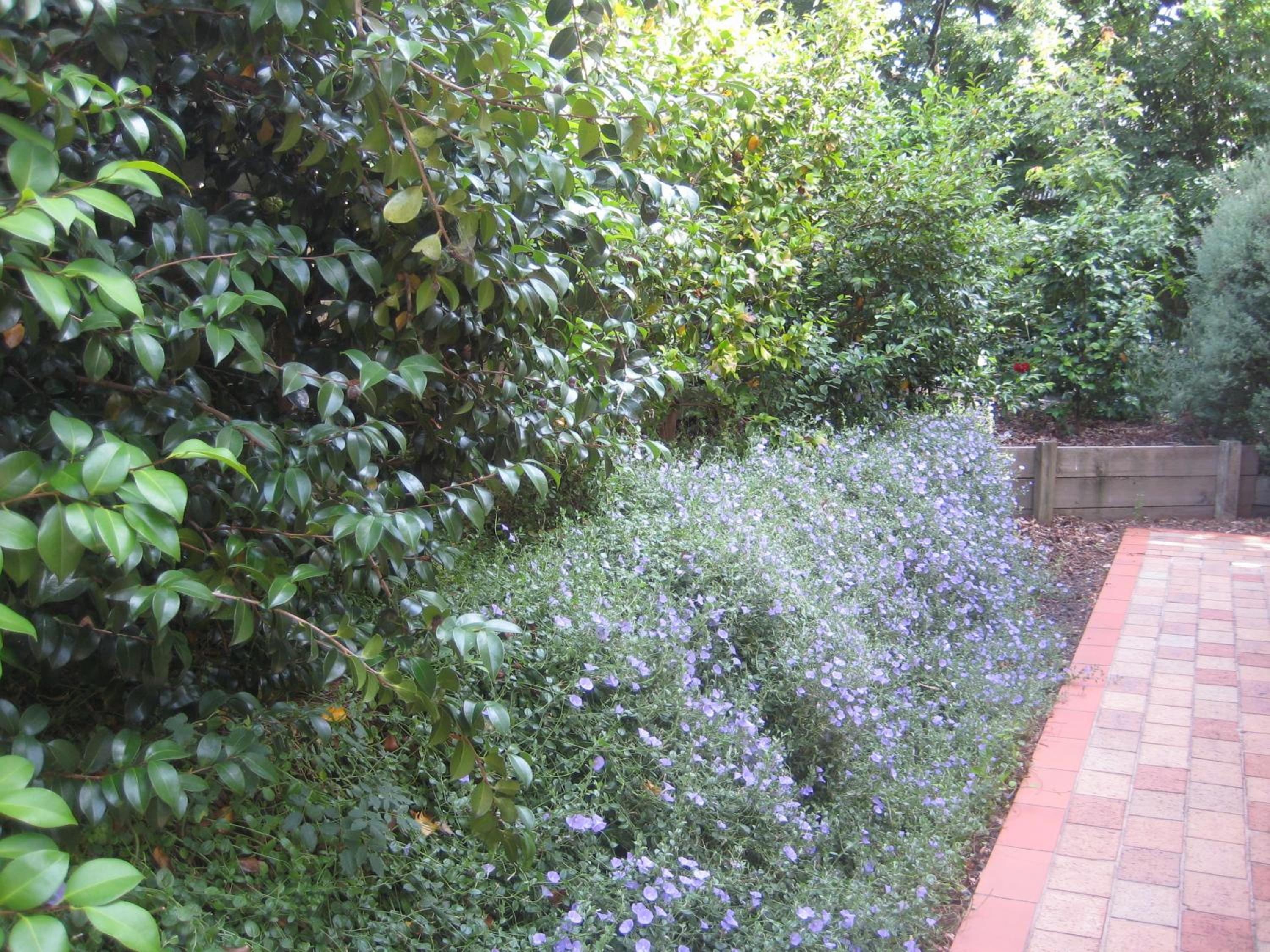 Photo 40