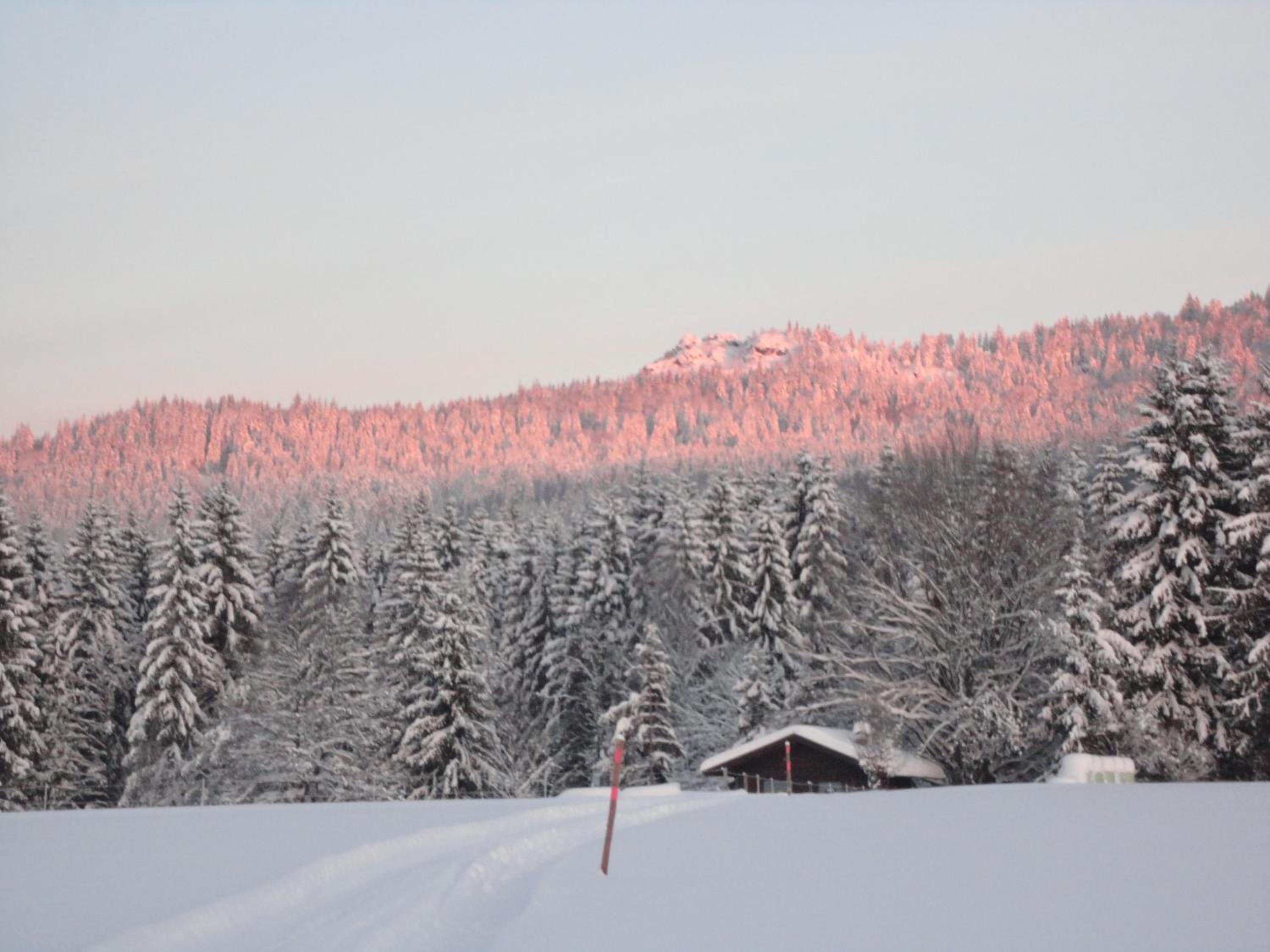 Landgasthof Brandtner Wirt - Property Image 32