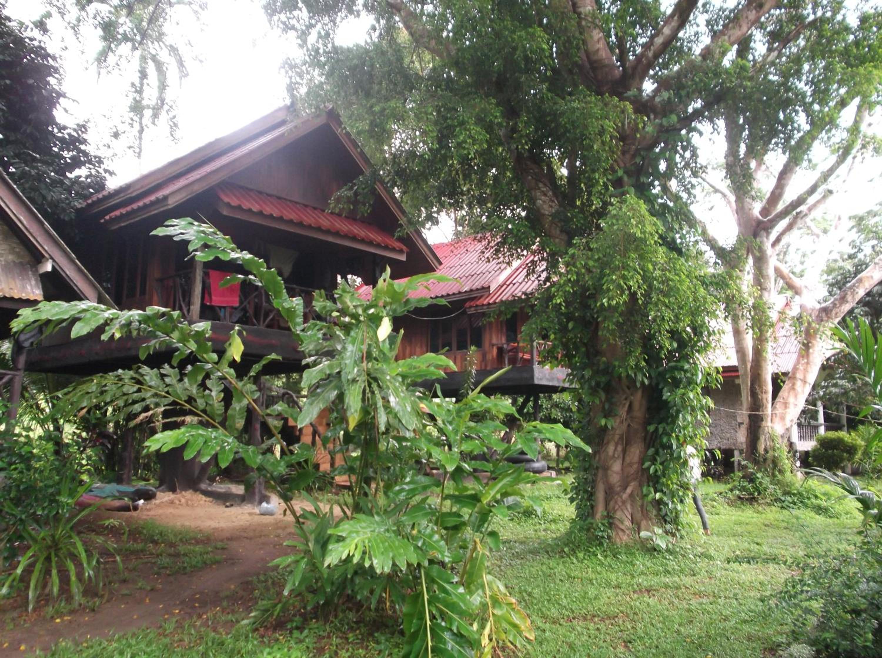 Bamboo House