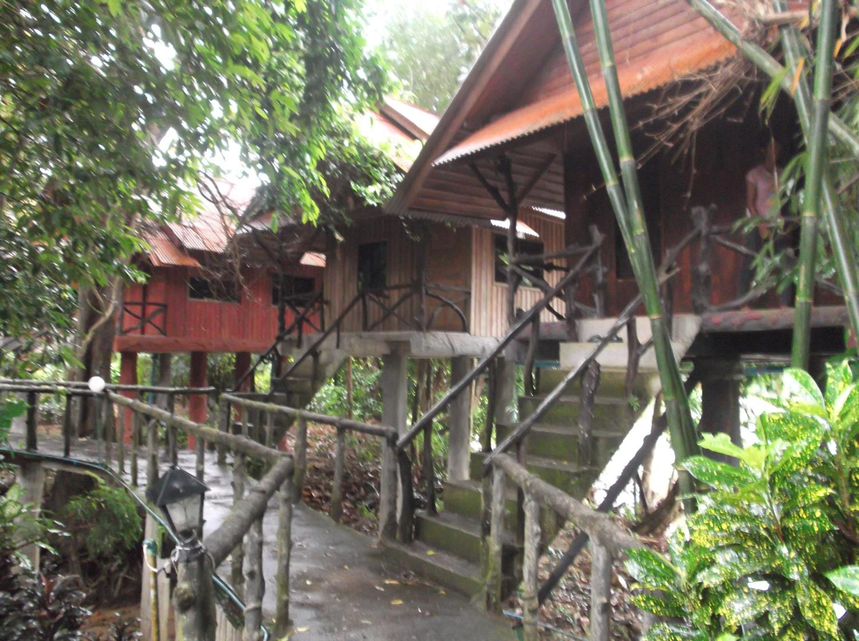 Bamboo House