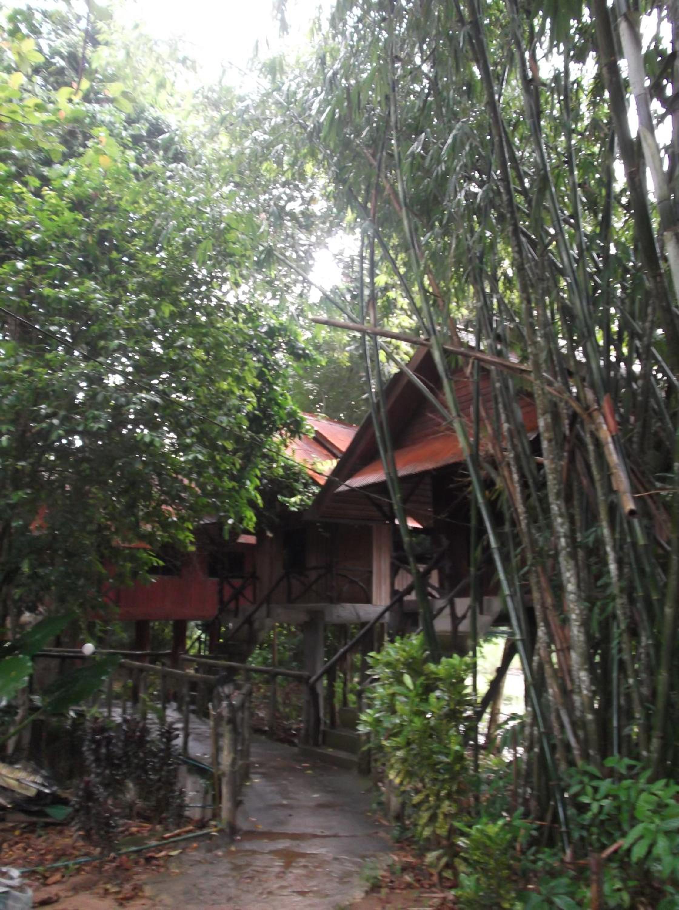 Bamboo House