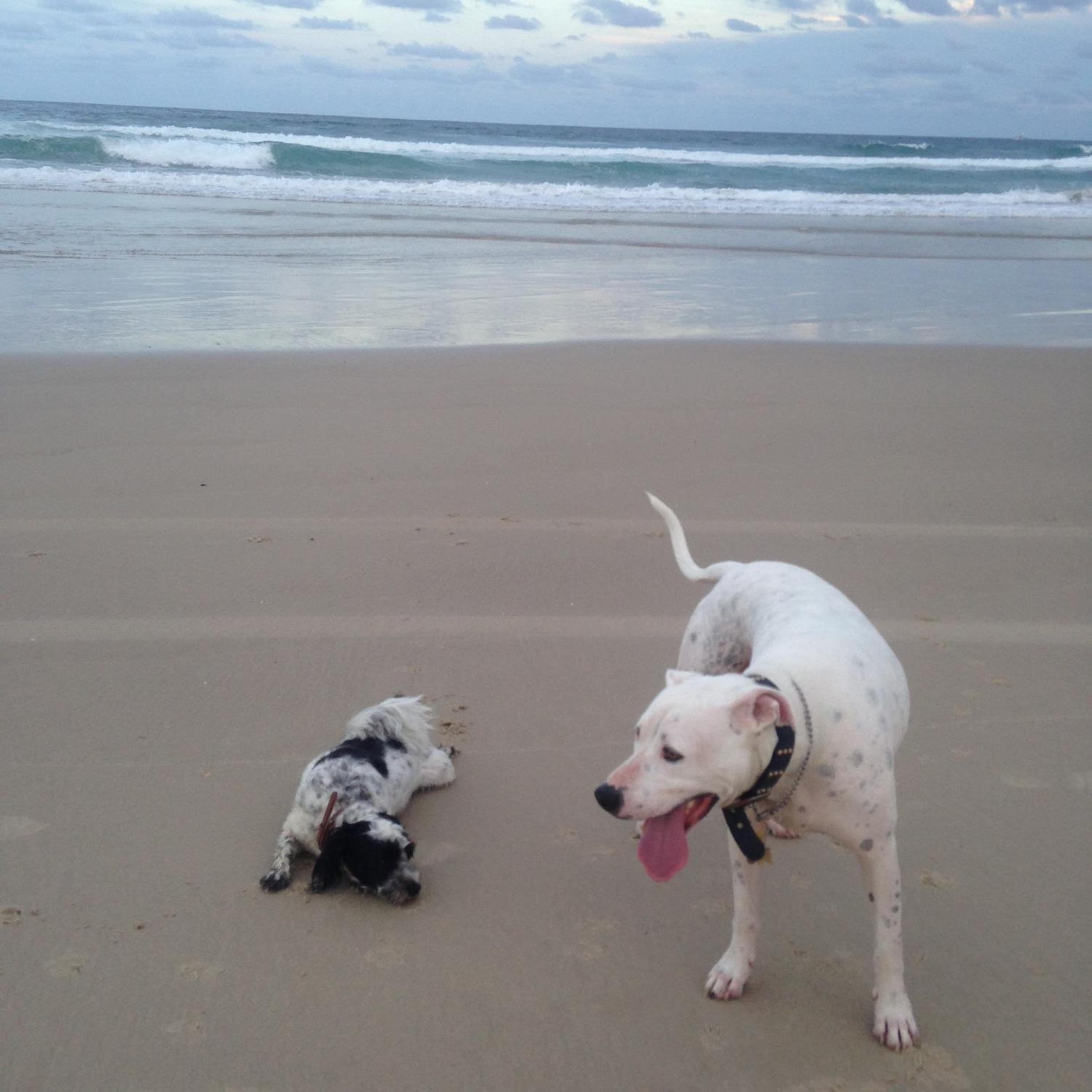 Clarence Head Caravan Park