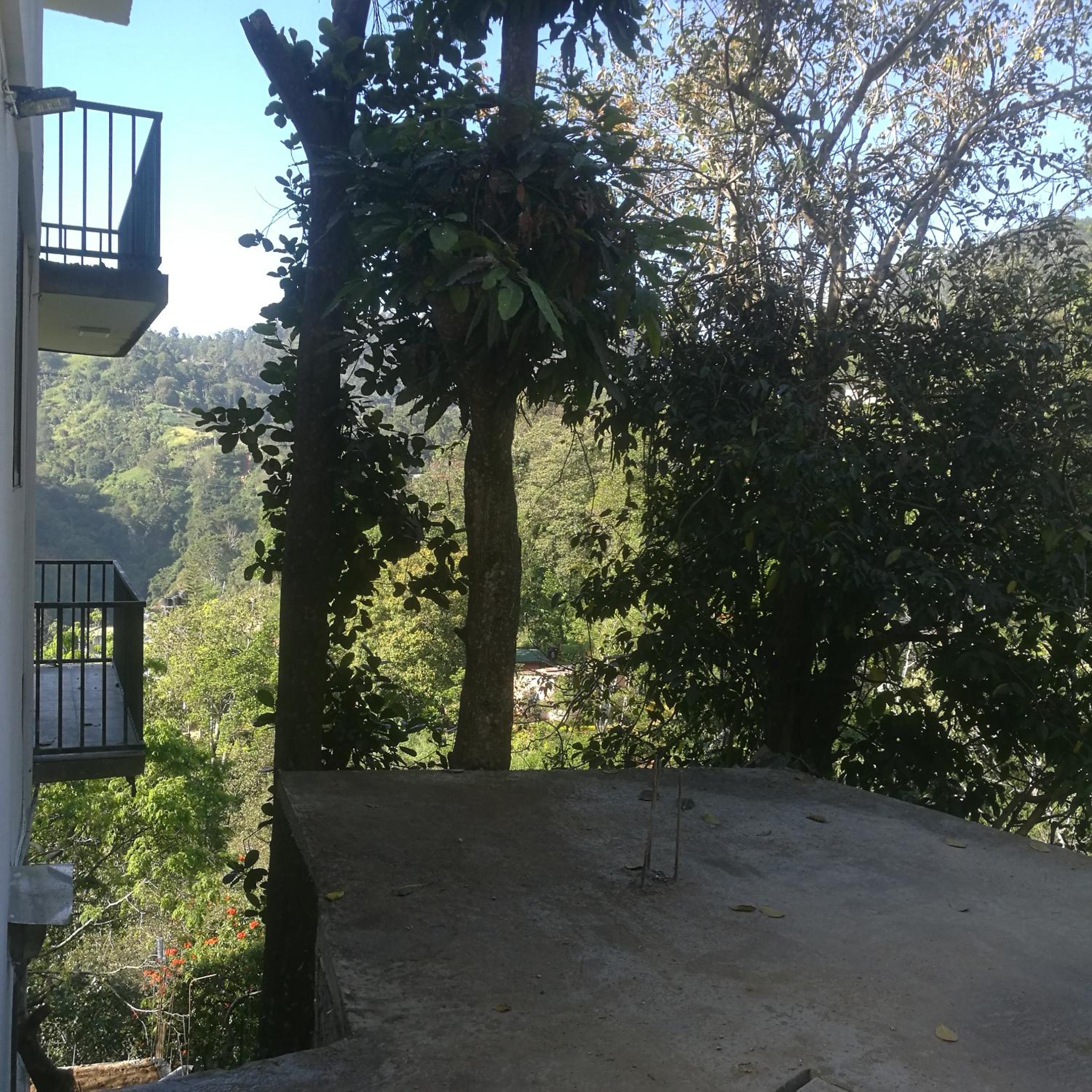 Viewfront Ella