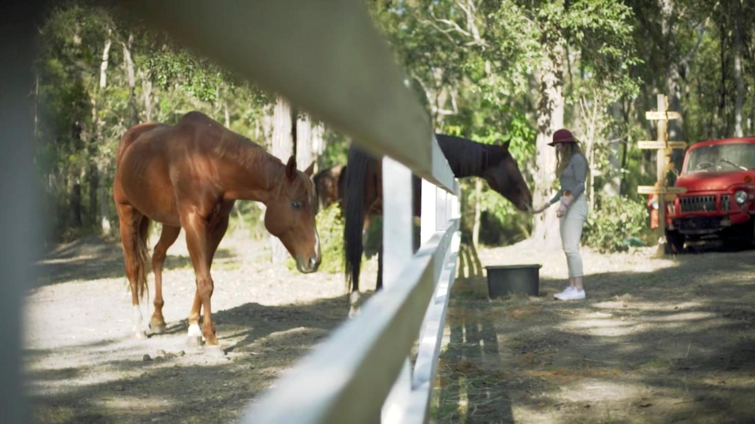 The Woods Farm Jervis Bay