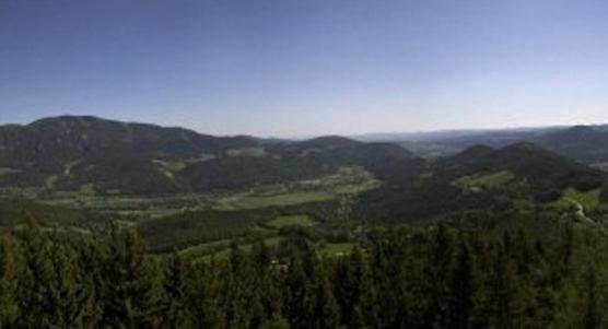Althammerhof