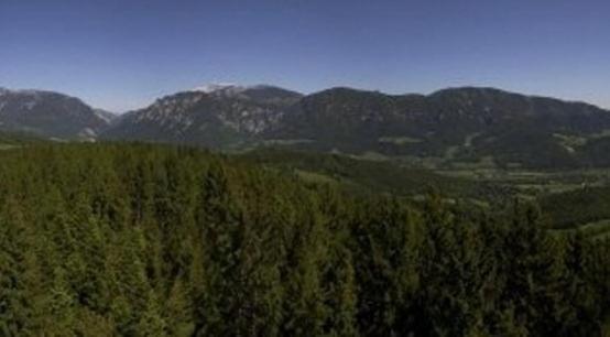 Althammerhof