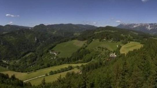 Althammerhof