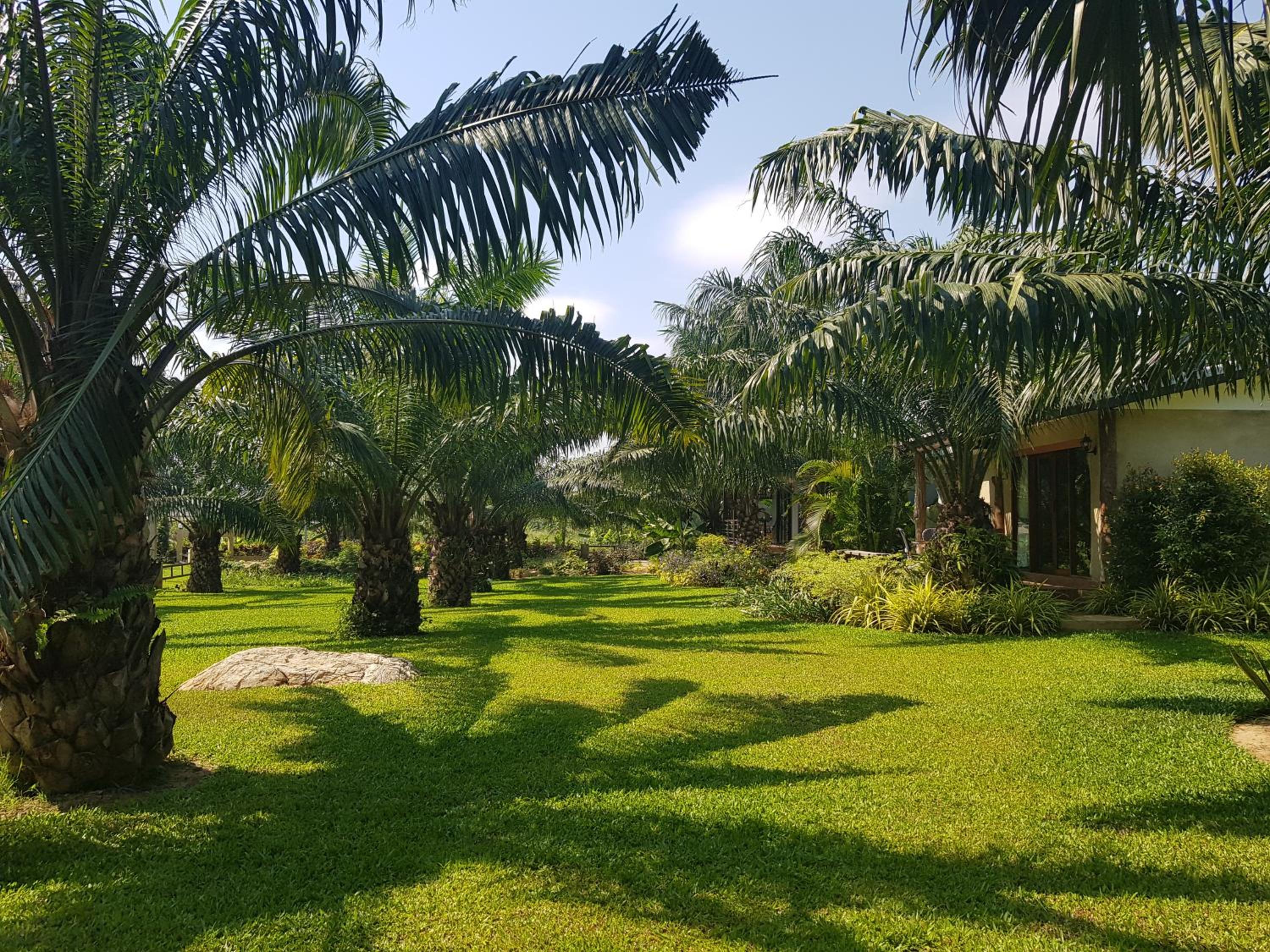 Palm Pran Resort