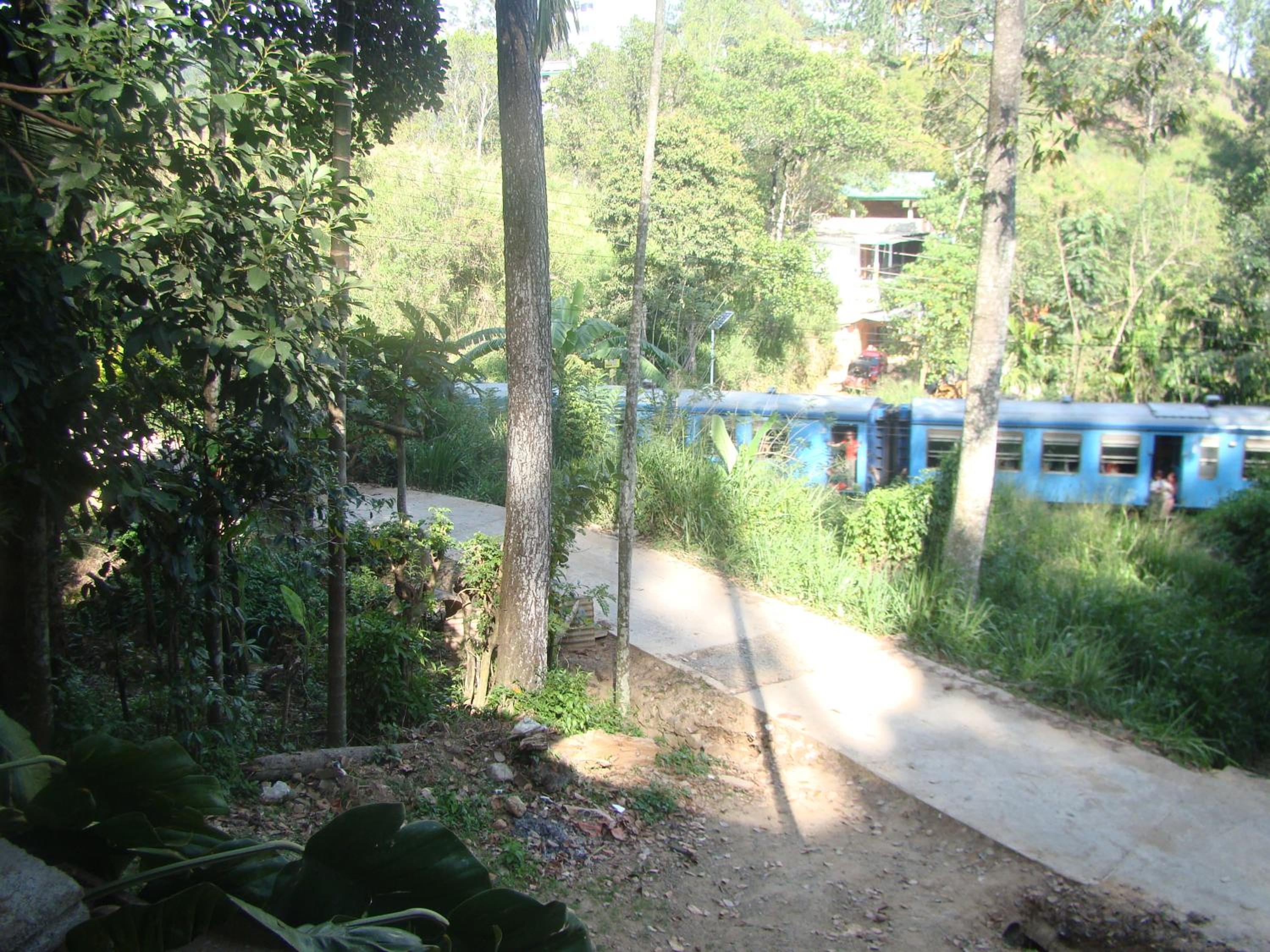 Photo 41