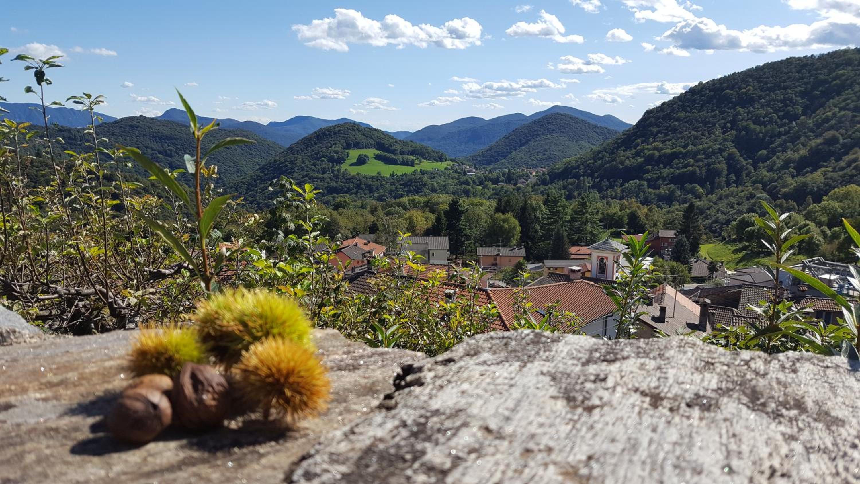 Rustico view 3