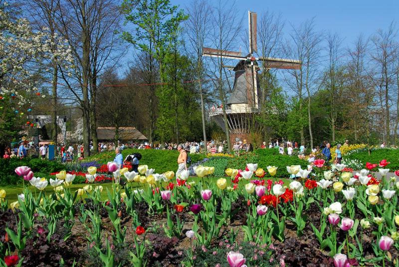 Photo 21