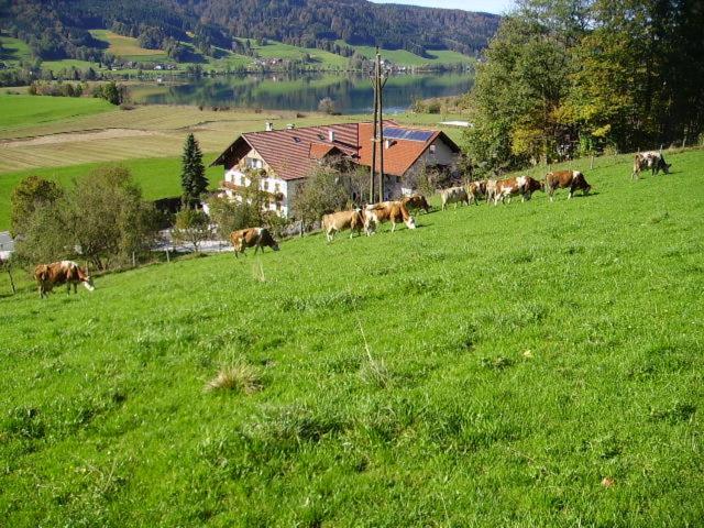 Bauernhof Kasleitner