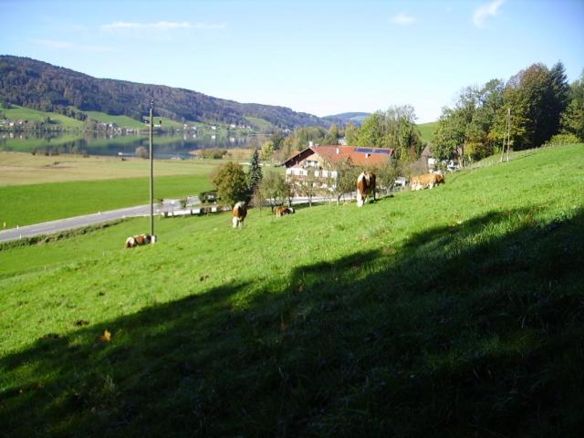 Bauernhof Kasleitner