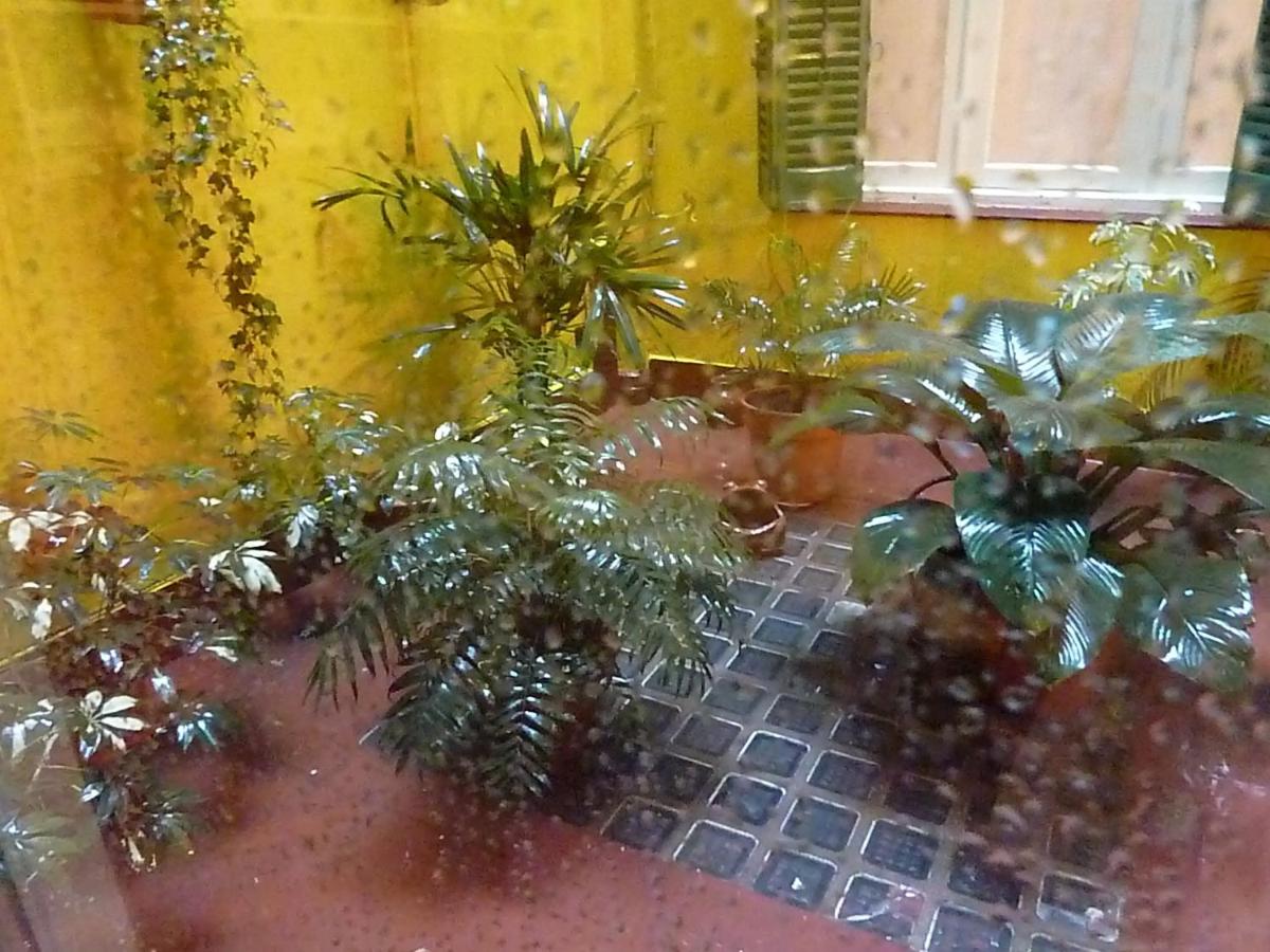 Via Arriba B&B