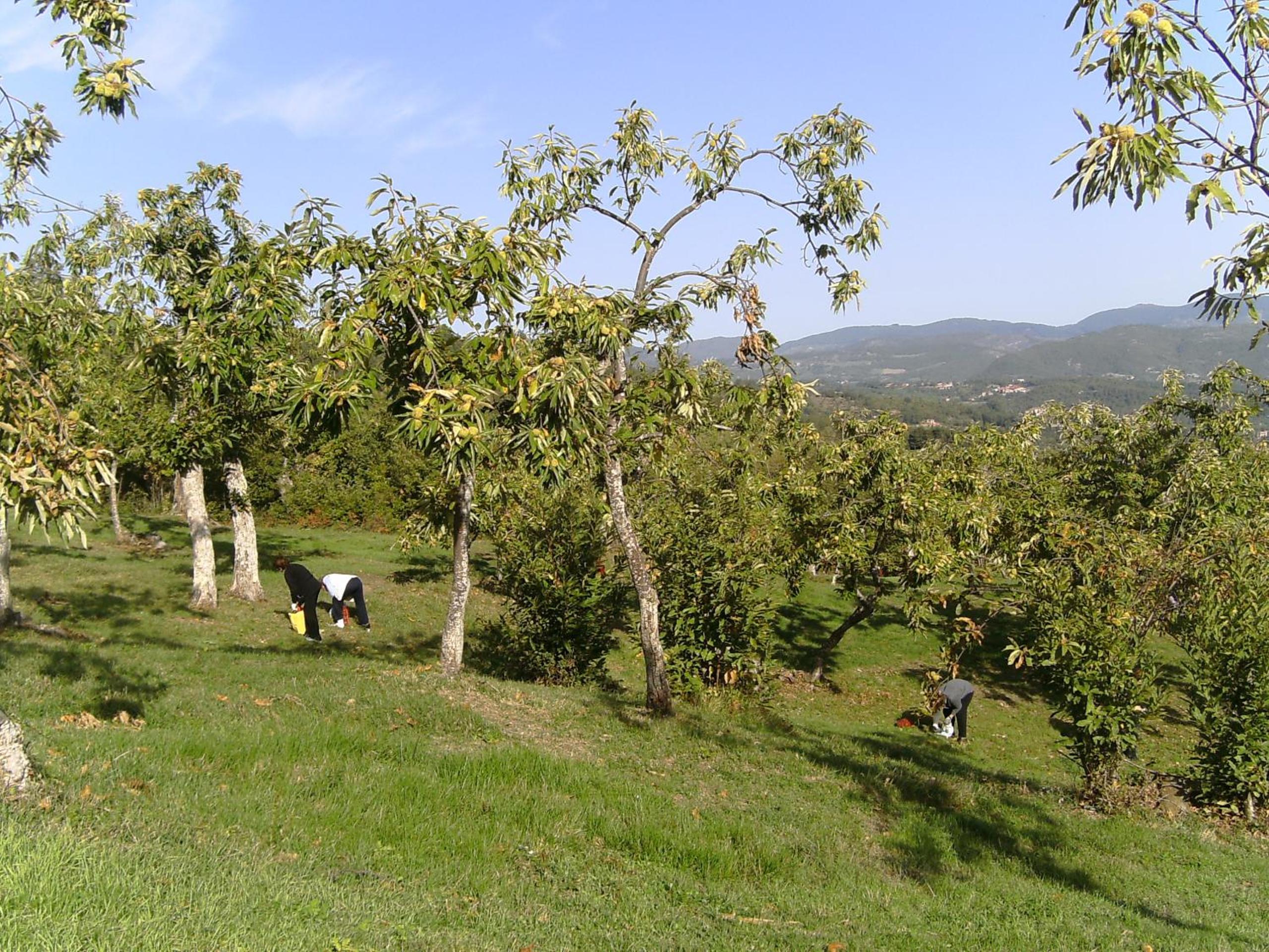 Agriturismo La Casina