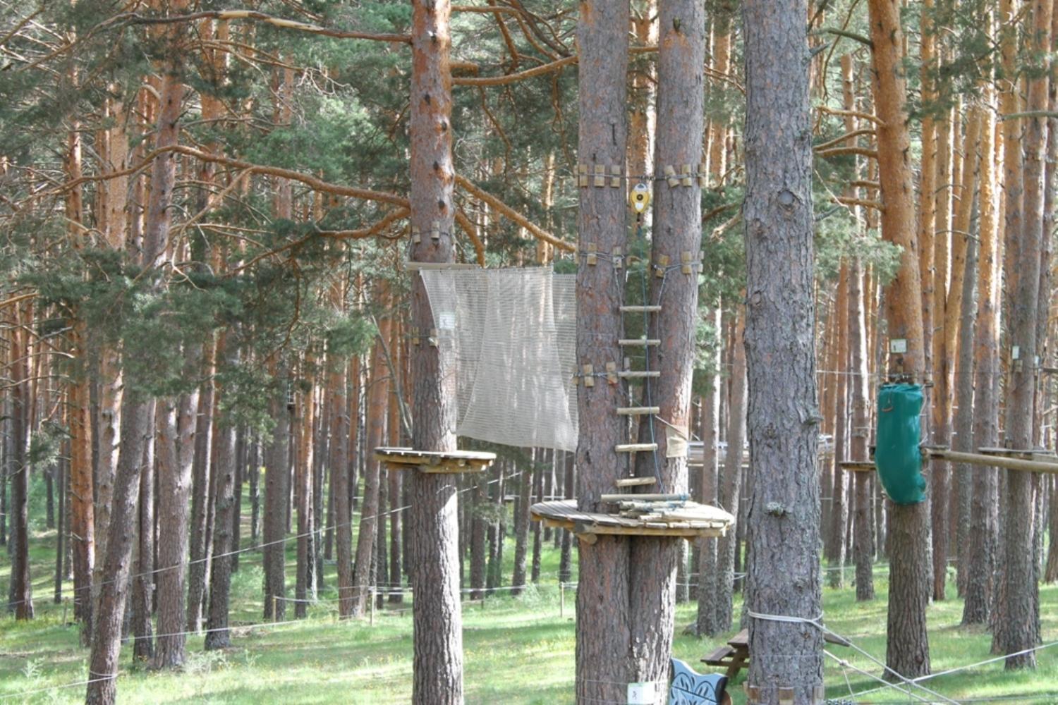 Photo 40