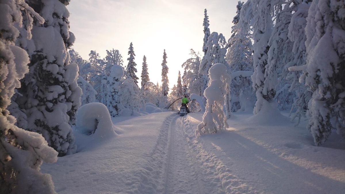 Lapland Snow Cabin